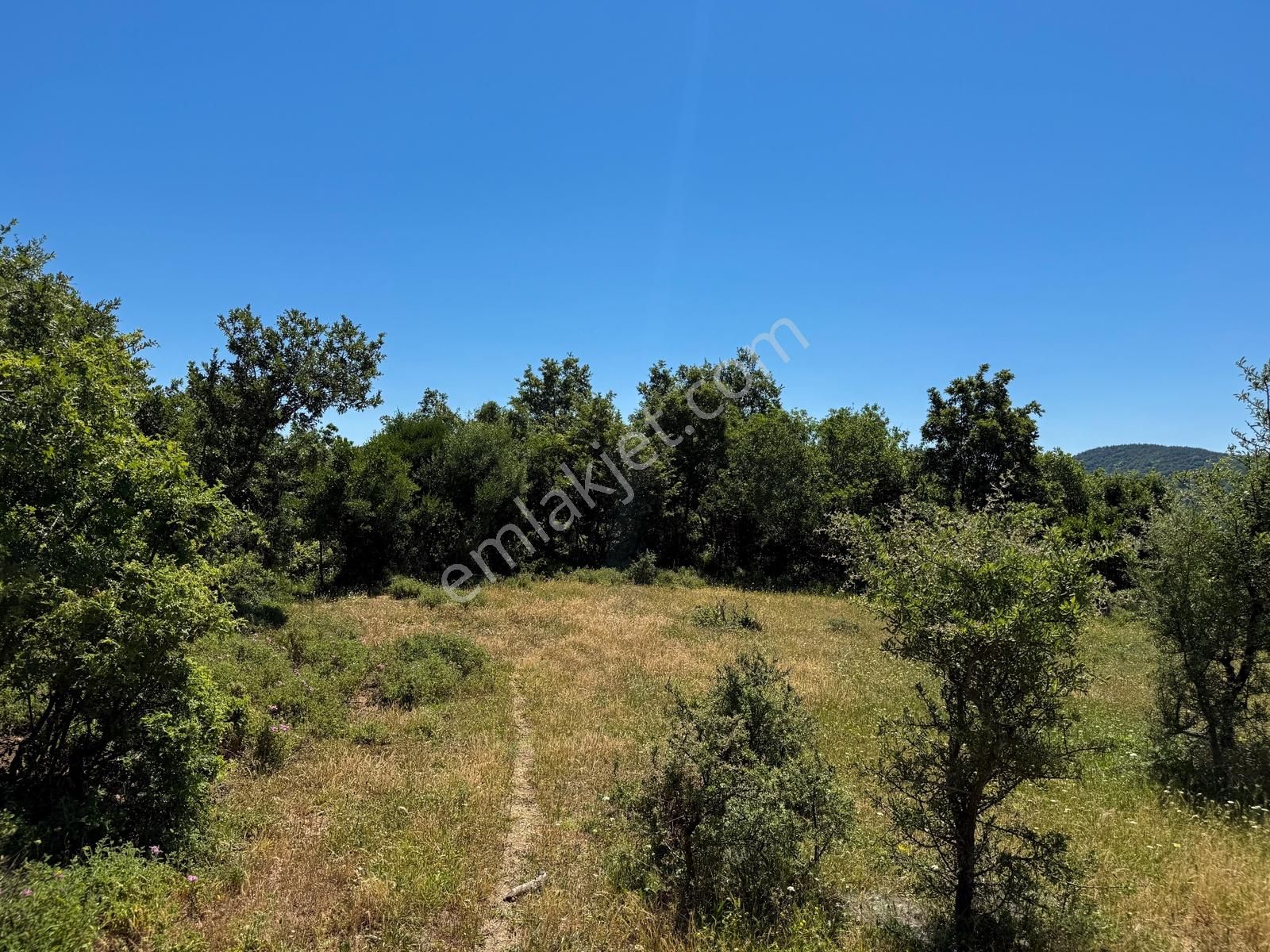 Lapseki Güreci'de 9.057m² Yolu Mevcut Yatırımlık Arazi - Görsel 33