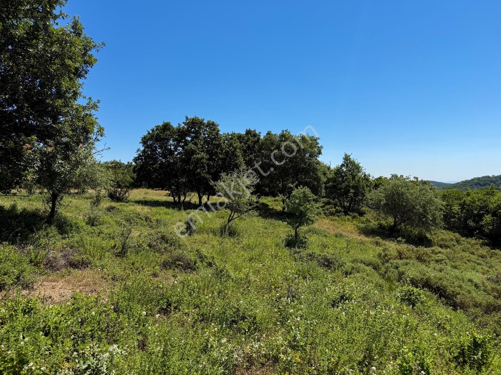 Lapseki Güreci'de 9.057m² Yolu Mevcut Yatırımlık Arazi - Görsel 6