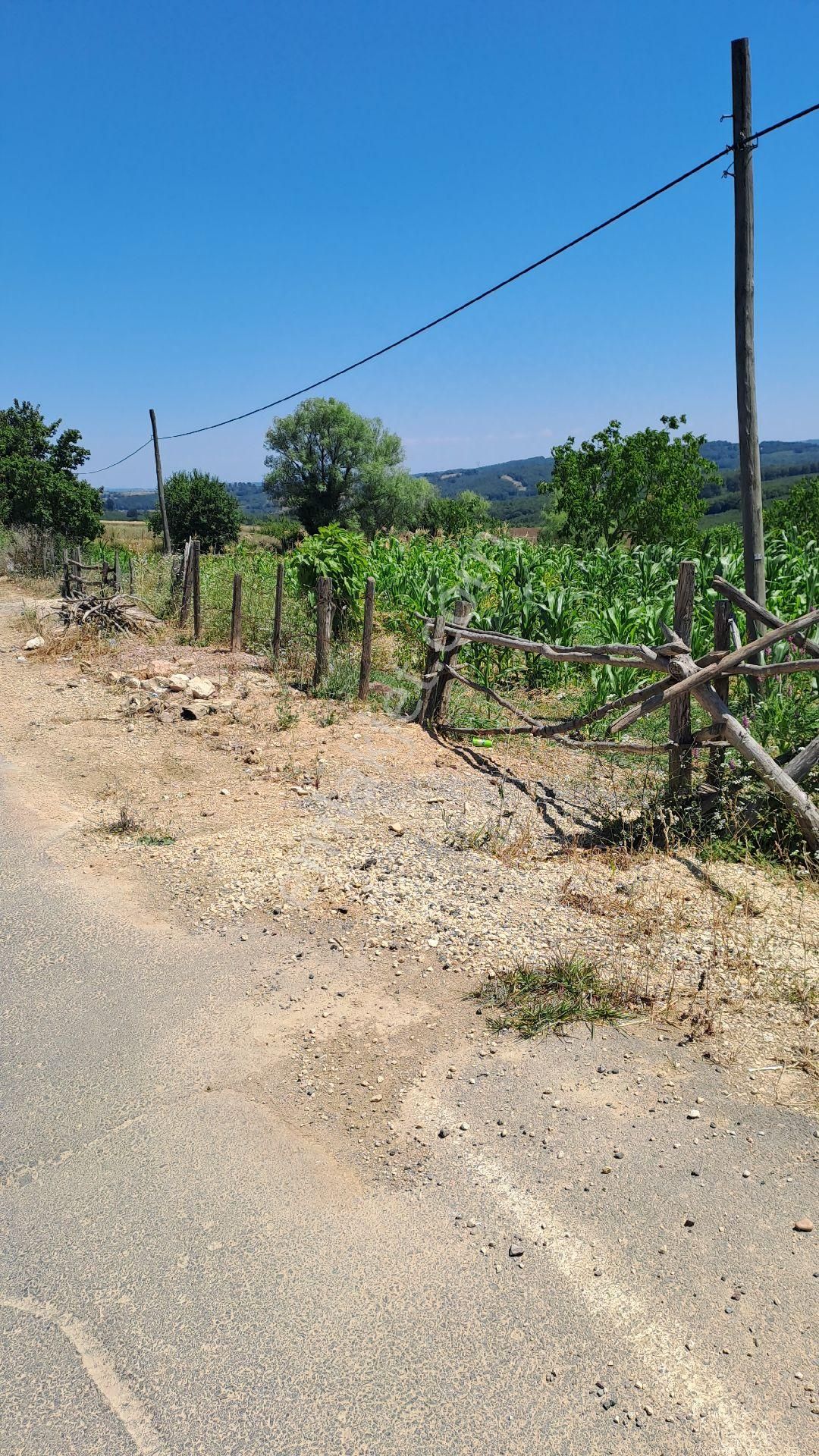 Kandıra Hacımazlı Köyü 1150² Sahibinden Tapulu Ve İmarlı Tarla - Görsel 6
