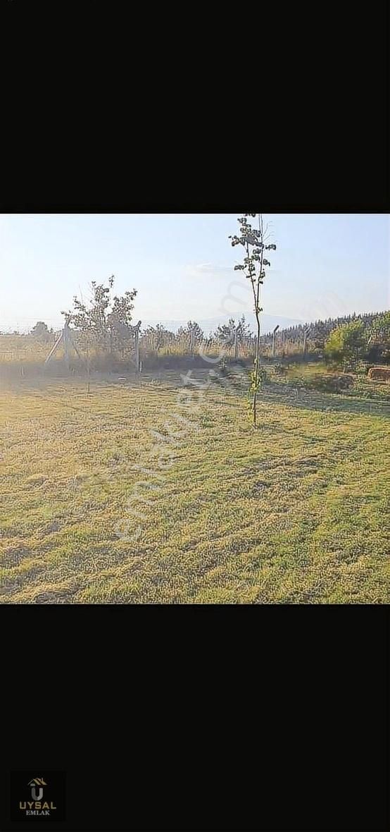 Uysal'dan Honaz Aydınlarda 1123m2 Arazi İçerinde Bahçeli Ev - Görsel 5