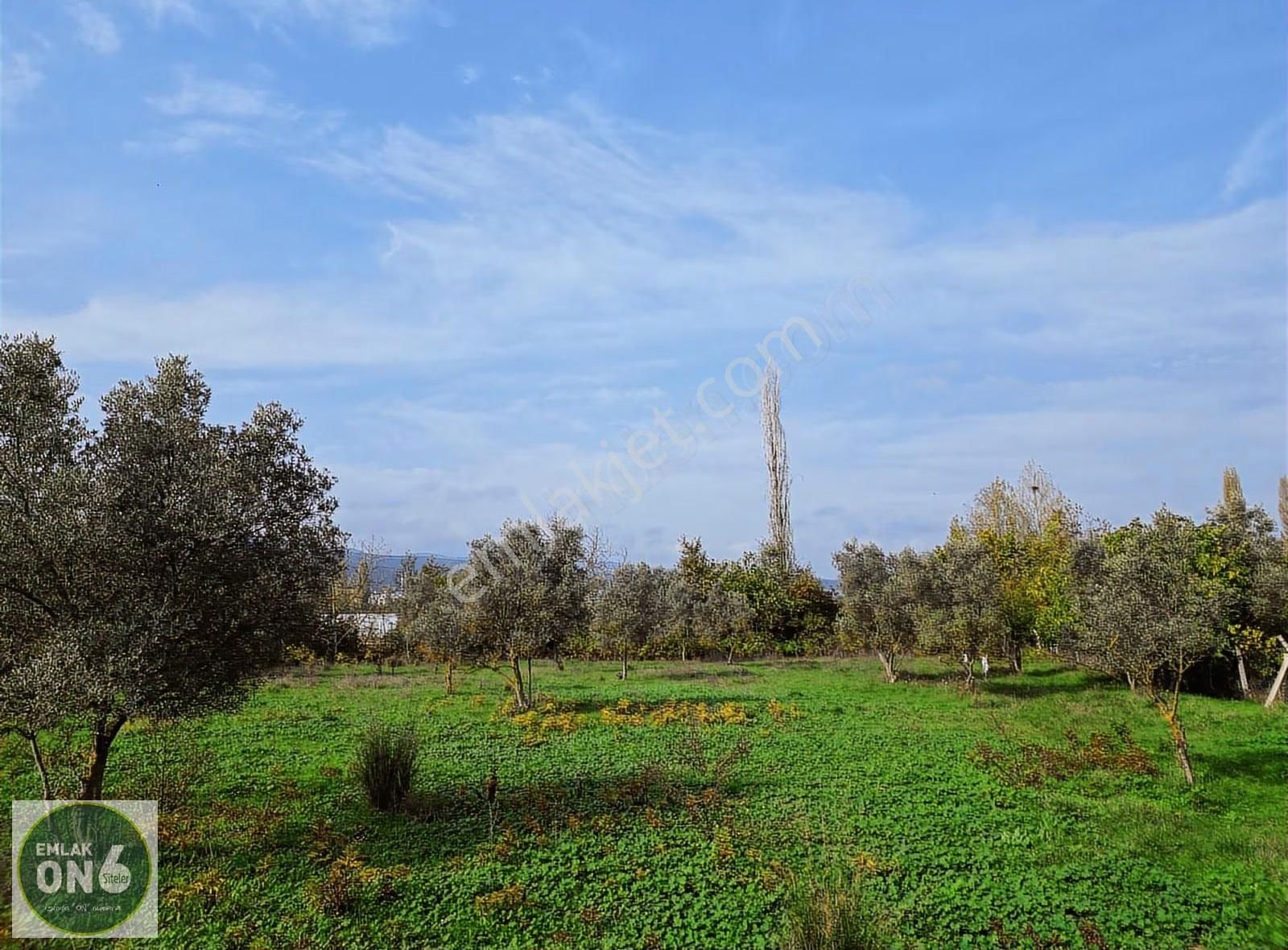 Bursa Orhangazi Muradiye İmarın Yanı Satılık Tarla - Görsel 10