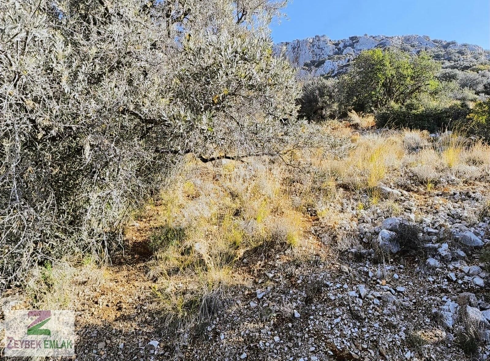 Kaş Kalkan'da Muhteşem Panoramik Deniz Manzaralı Satılık Tarla! - Görsel 3
