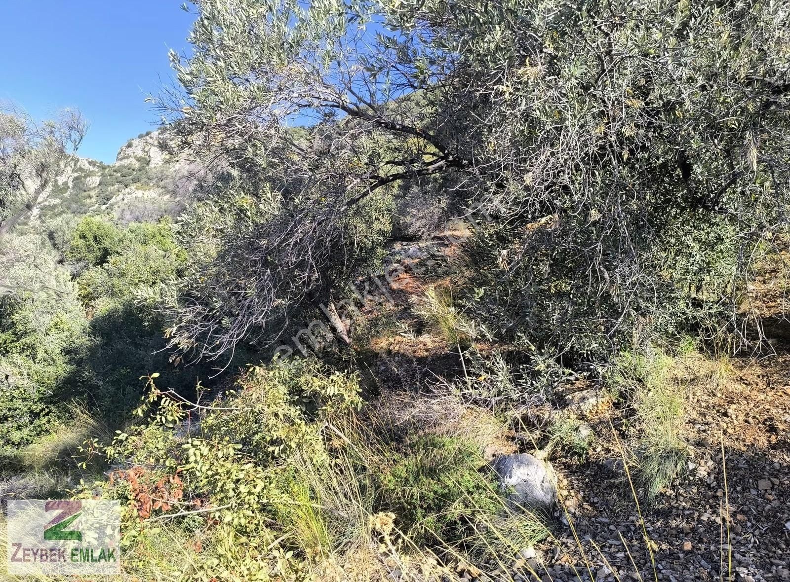 Kaş Kalkan'da Muhteşem Panoramik Deniz Manzaralı Satılık Tarla! - Görsel 28