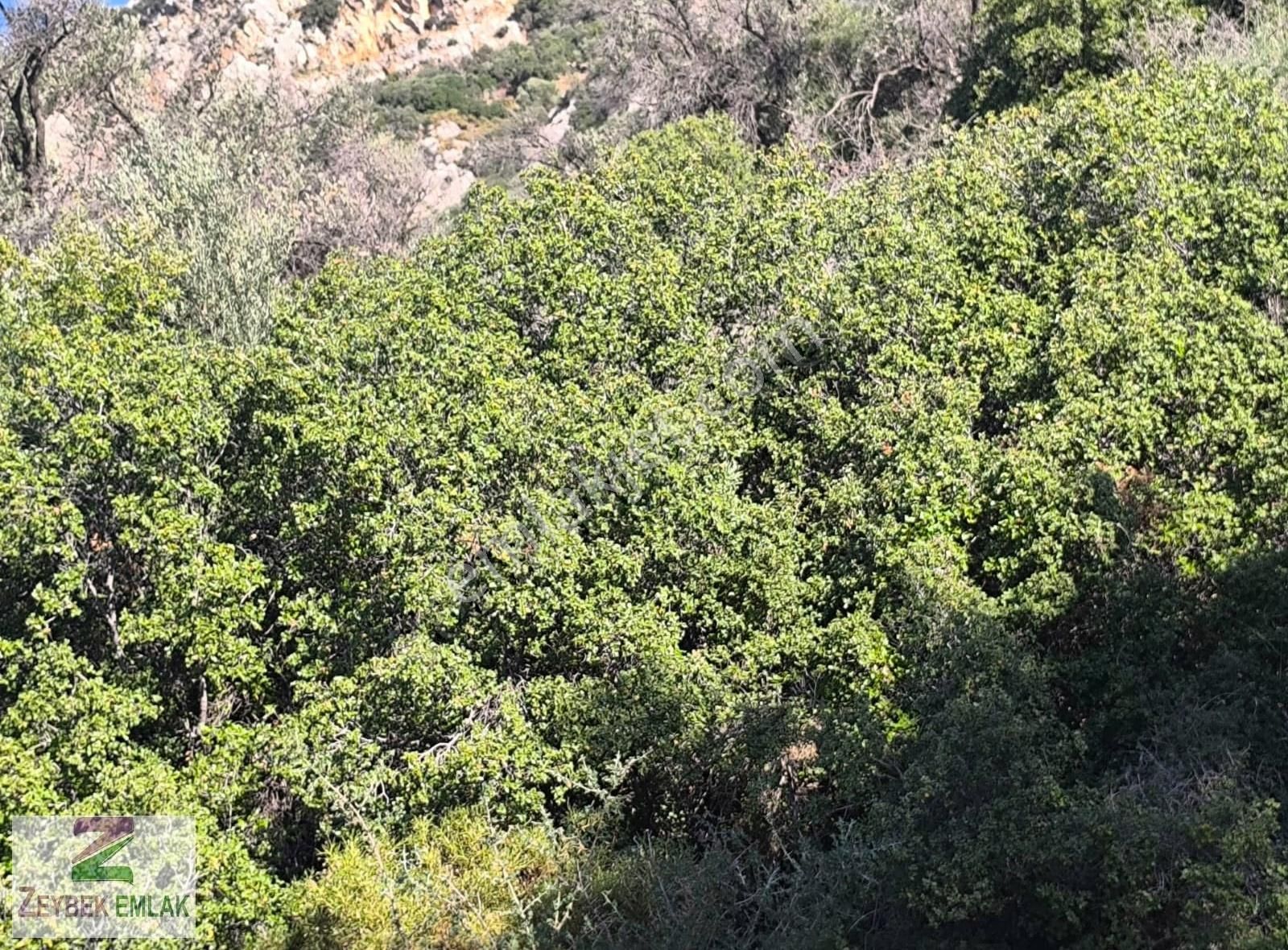 Kaş Kalkan'da Muhteşem Panoramik Deniz Manzaralı Satılık Tarla! - Görsel 25