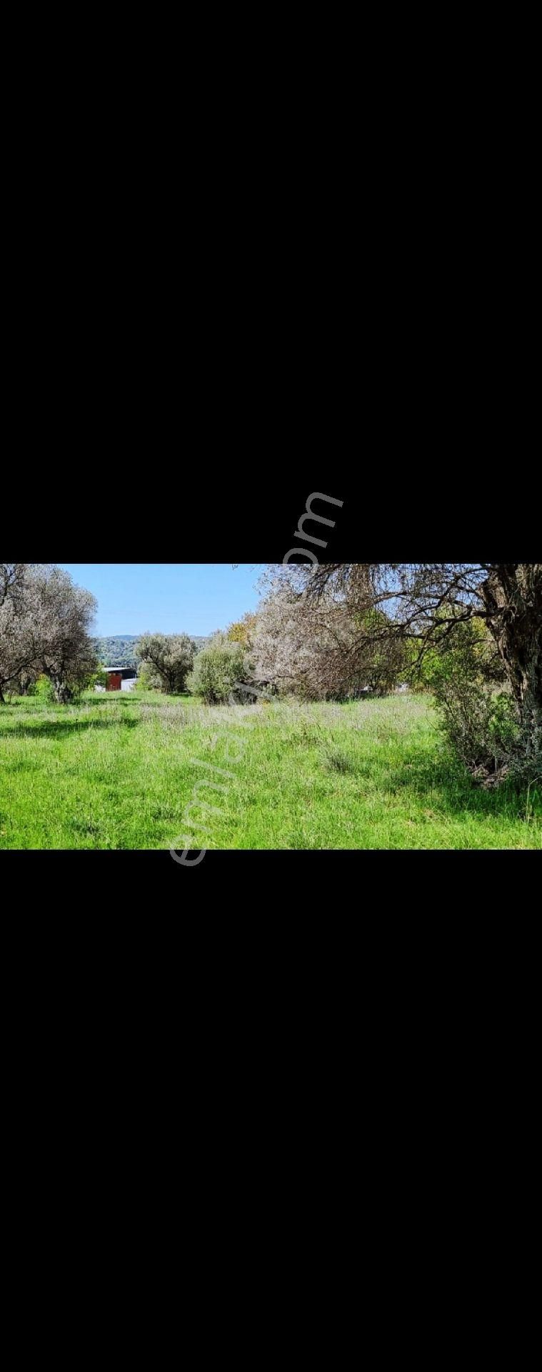 Yanında Otel Açıldı Sahibinden İzmir Yenifoça Yolunda En Kalite Konum - Görsel 8