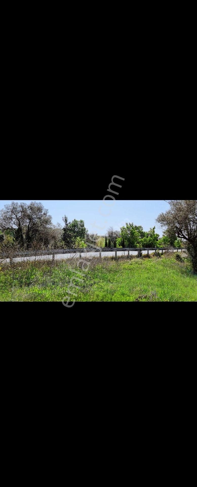 Yanında Otel Açıldı Sahibinden İzmir Yenifoça Yolunda En Kalite Konum - Görsel 6