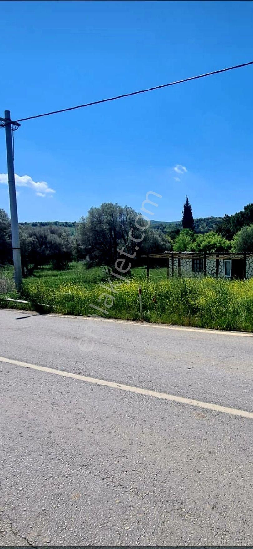 Yanında Otel Açıldı Sahibinden İzmir Yenifoça Yolunda En Kalite Konum - Görsel 5
