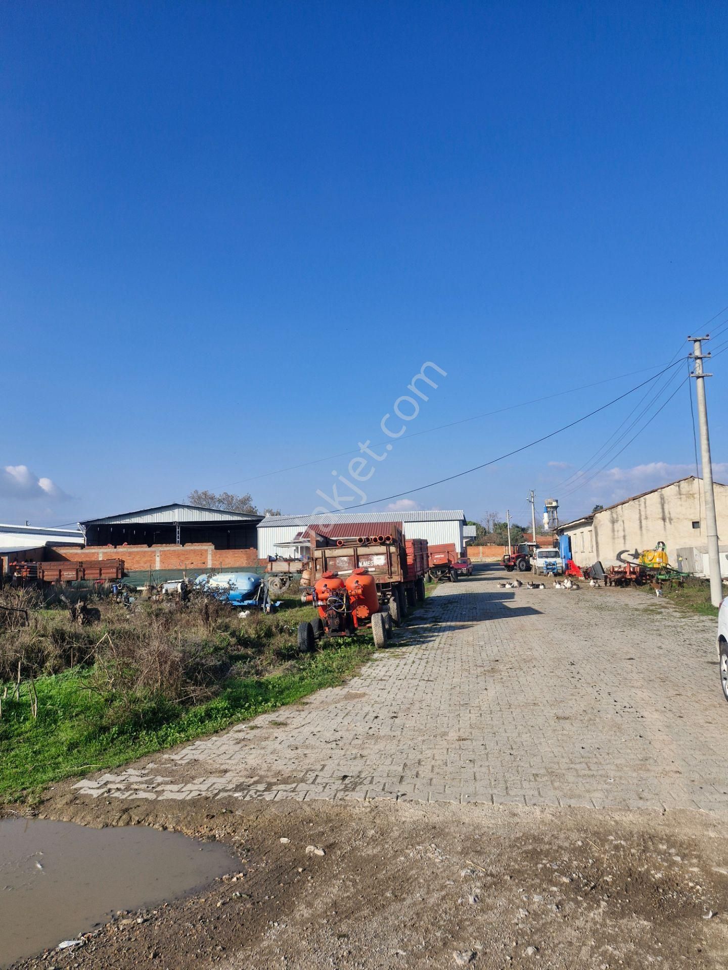 Akhisar Köy İçinde İyi Konumda 659 M2 İmarlı Arsa - Görsel 4