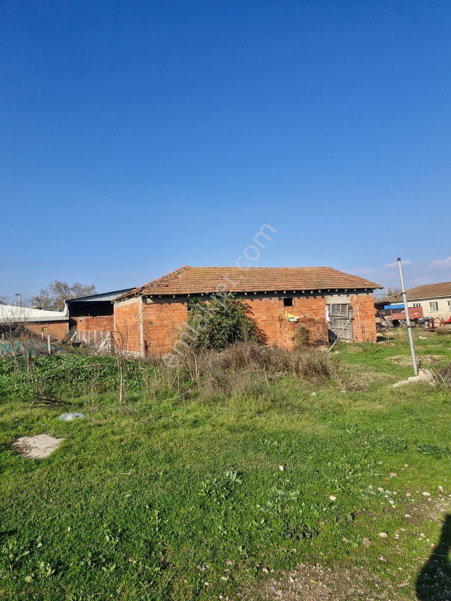 Akhisar Köy İçinde İyi Konumda 659 M2 İmarlı Arsa - Görsel 2