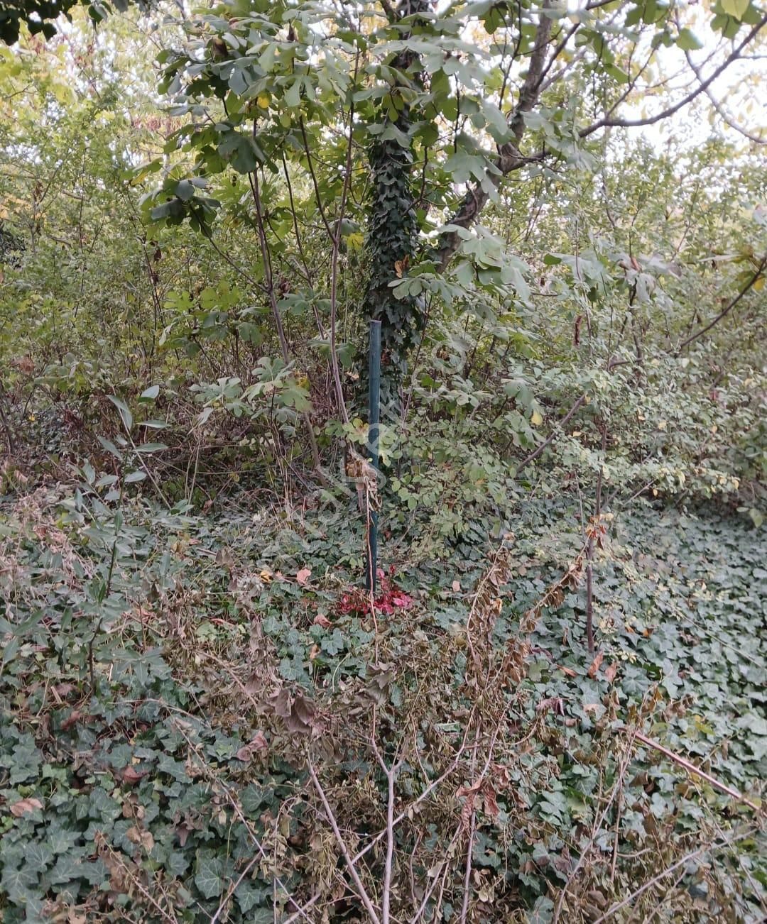 27,000,000 Değil------- Bizde 23,000,000 Tl Kelepir - Görsel 7