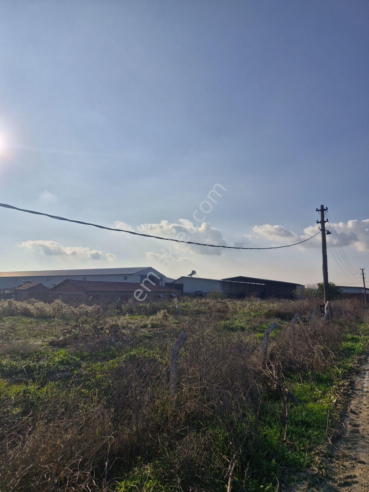 Sultaniye Köyiçinde Toplam1295 M2 Ev Bahçe Nitelikli Arazi - Görsel 4