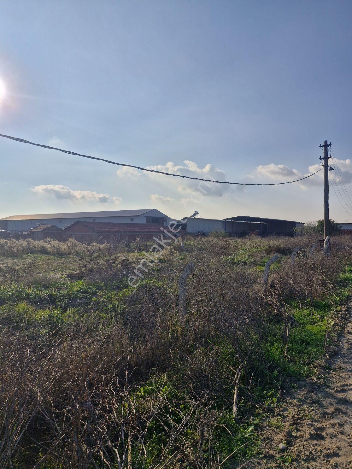 Sultaniye Köyiçinde Toplam1295 M2 Ev Bahçe Nitelikli Arazi - Görsel 3