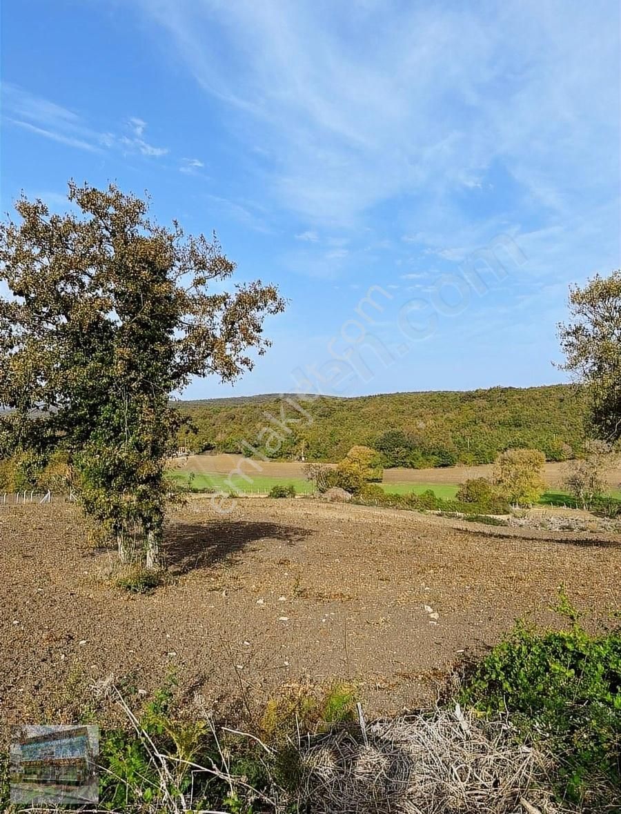 Arnavutköy Balabanda Doğa Harikası 7800 Metre Tek Tapu Arsa - Görsel 8