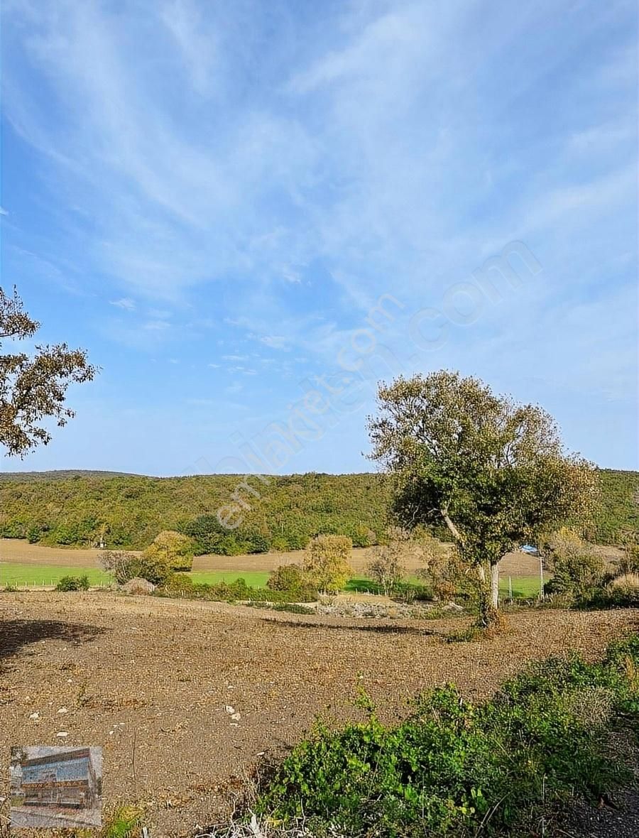 Arnavutköy Balabanda Doğa Harikası 7800 Metre Tek Tapu Arsa - Görsel 7