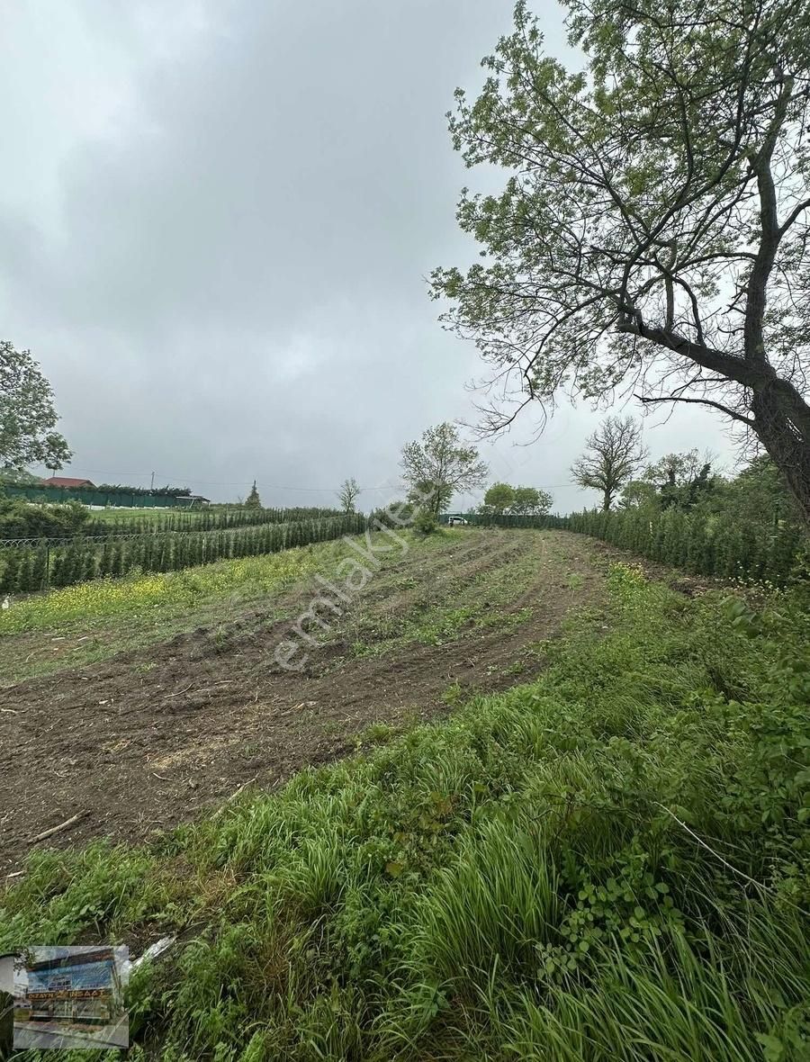 Arnavutköy Balabanda Doğa Harikası 1790 Metre Satılık Arsa