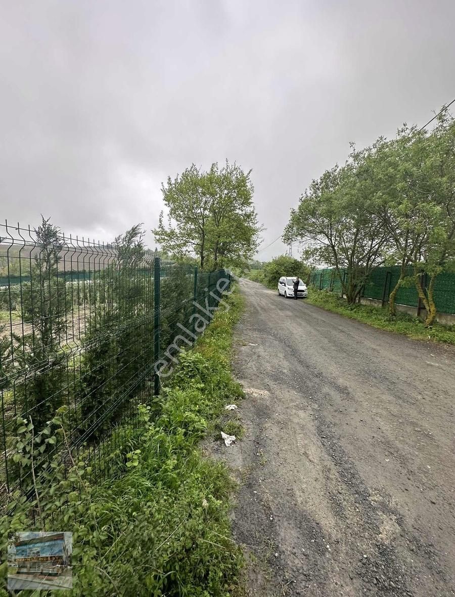 Arnavutköy Balabanda Doğa Harikası 1790 Metre Satılık Arsa - Görsel 6