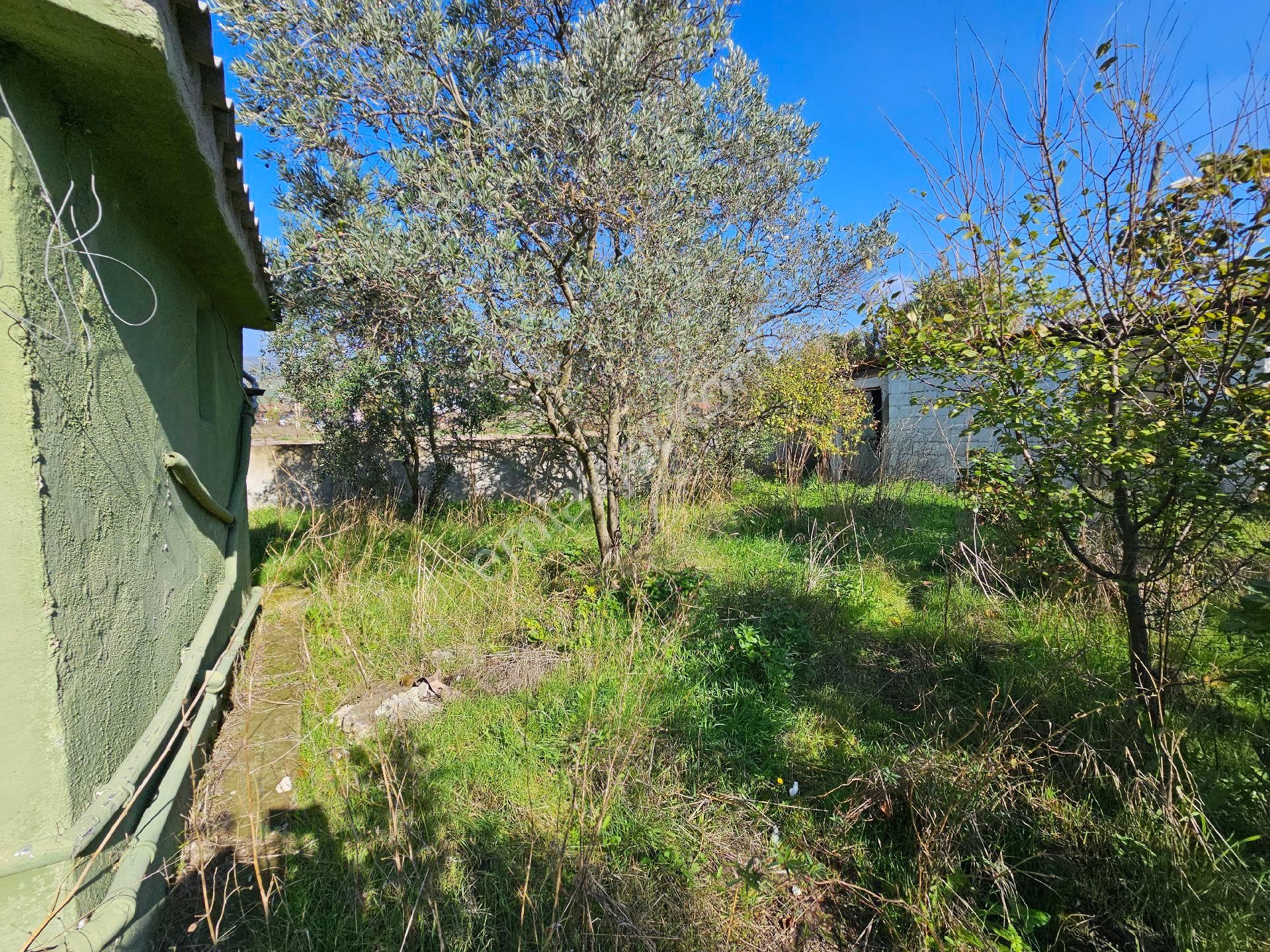 Gönen Taştepe Mahallesin'demüstakil Köy Evimiz - Görsel 23