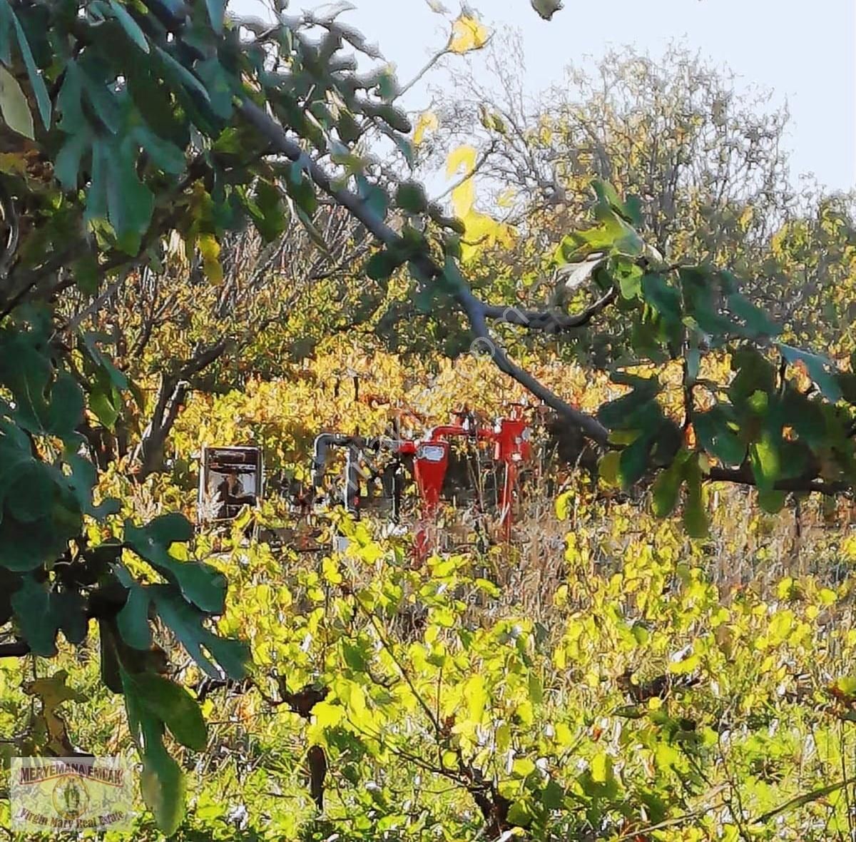 Aydın/kuşadası/çınar'da, 3.079m2 Üzüm Bağı Satılıktır. - Görsel 10