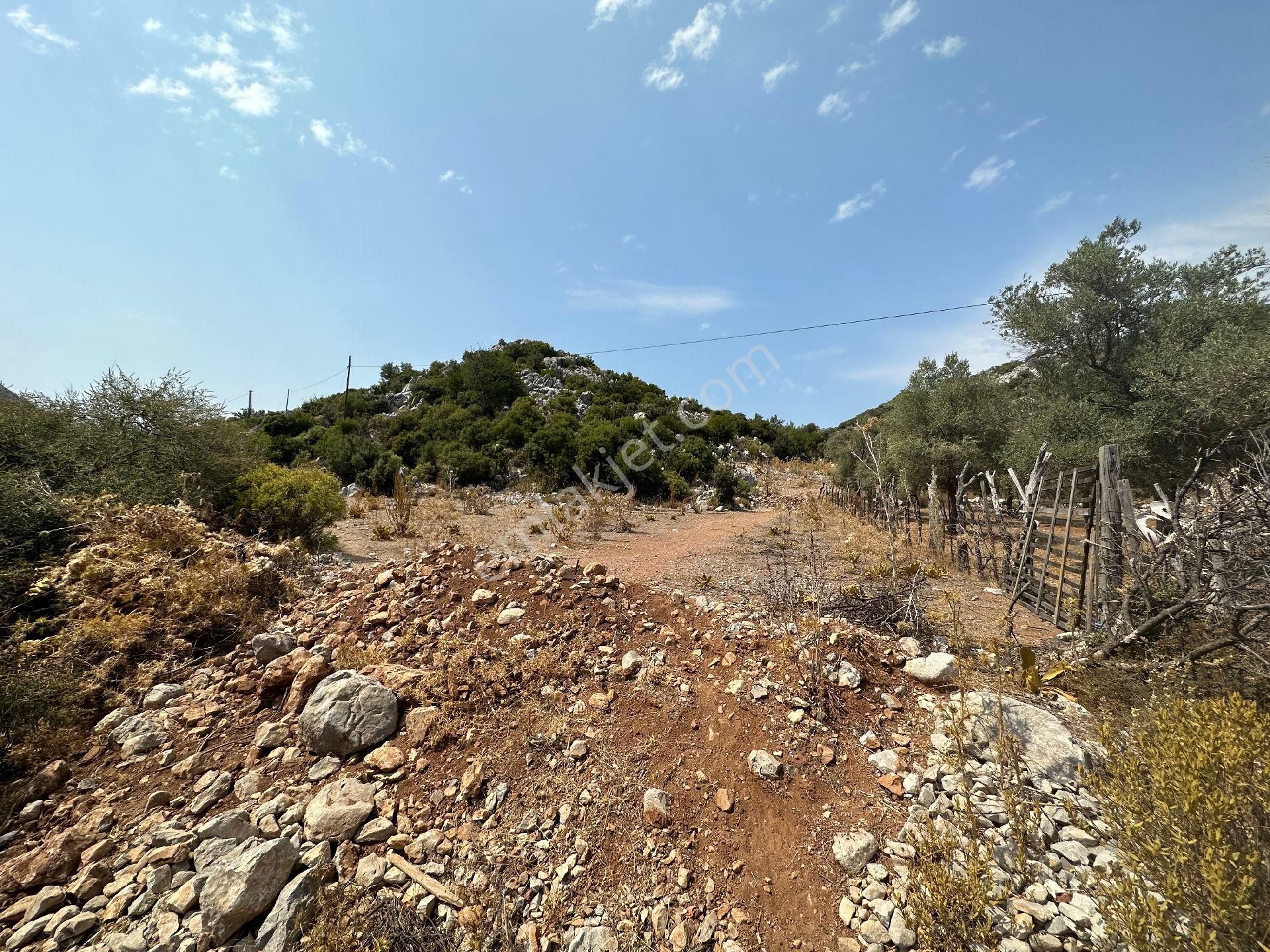 Joker: Marmaris Selimiye Düzlük Alanda Yatırıma Uygun Satılık Tarla - Görsel 7