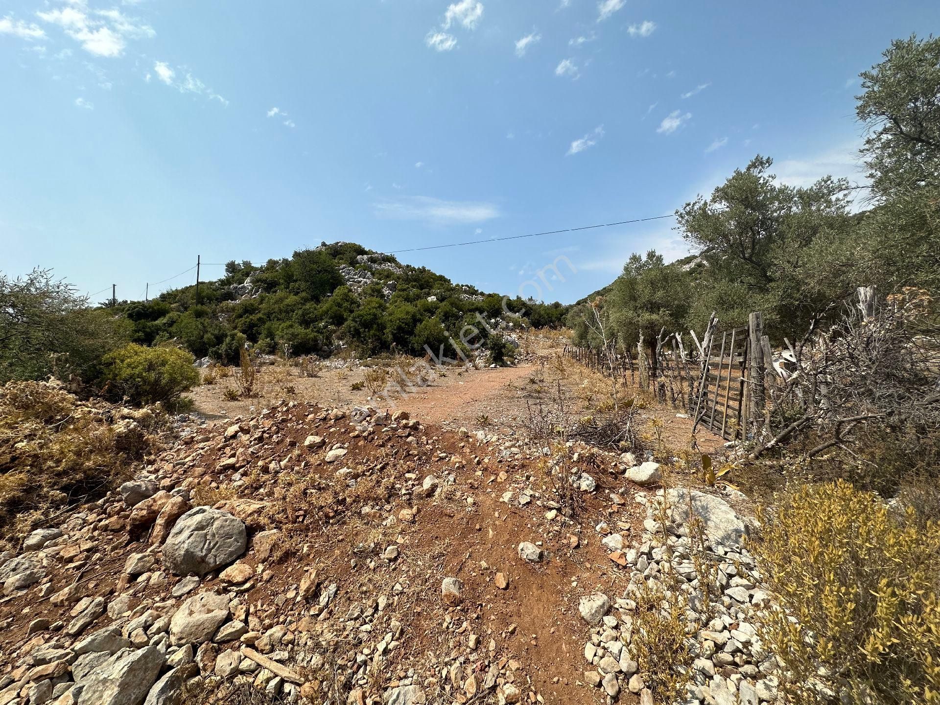 Joker: Marmaris Selimiye Düzlük Alanda Yatırıma Uygun Satılık Tarla - Görsel 4