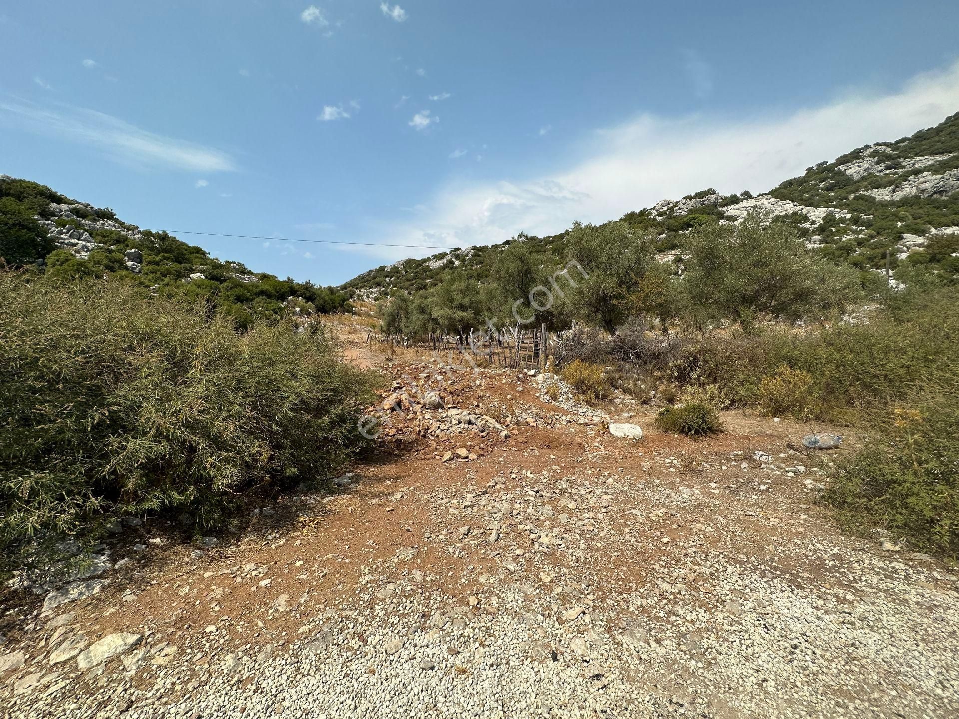 Joker: Marmaris Selimiye Düzlük Alanda Yatırıma Uygun Satılık Tarla - Görsel 5