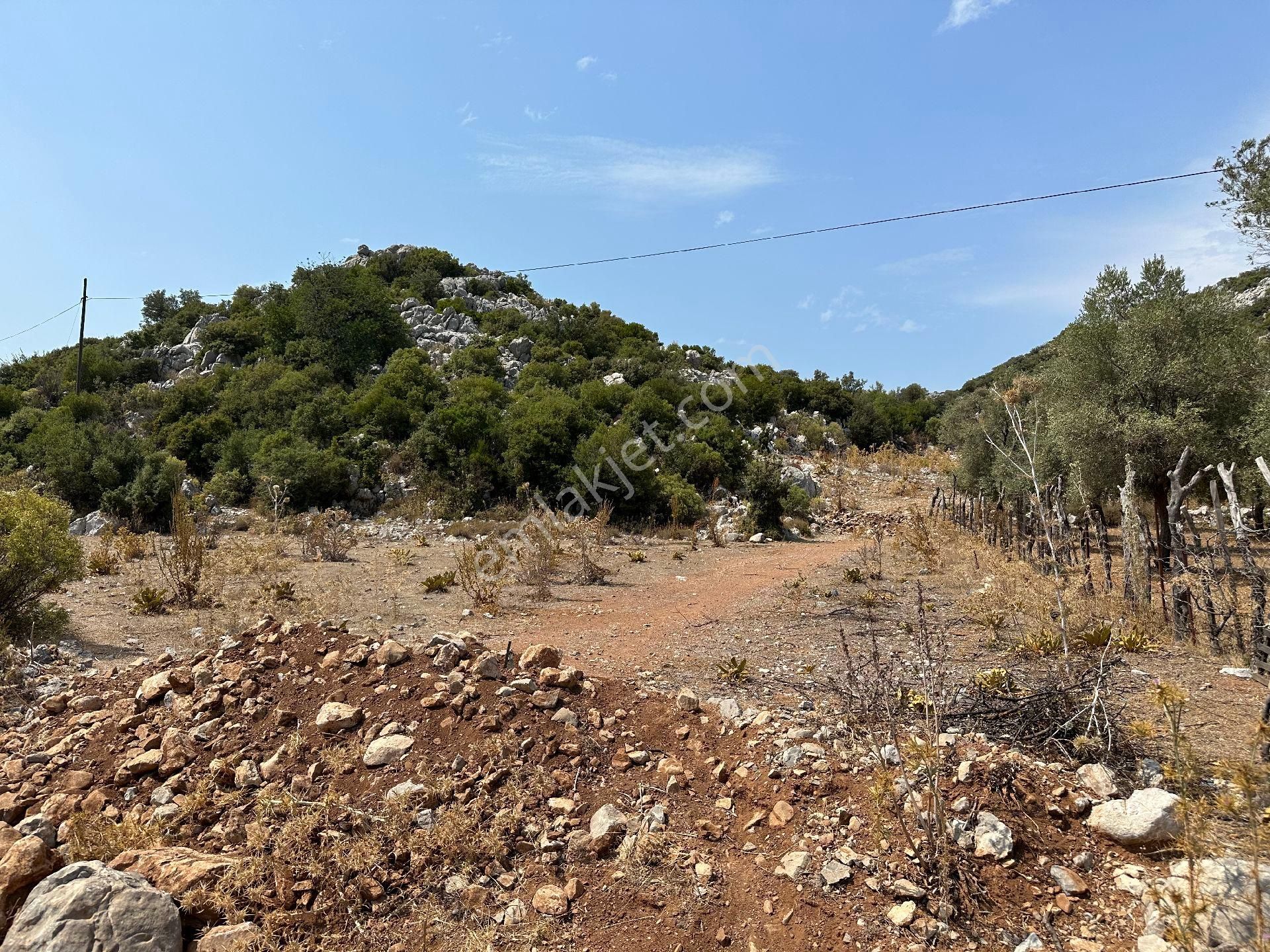 Joker: Marmaris Selimiye Düzlük Alanda Yatırıma Uygun Satılık Tarla - Görsel 2