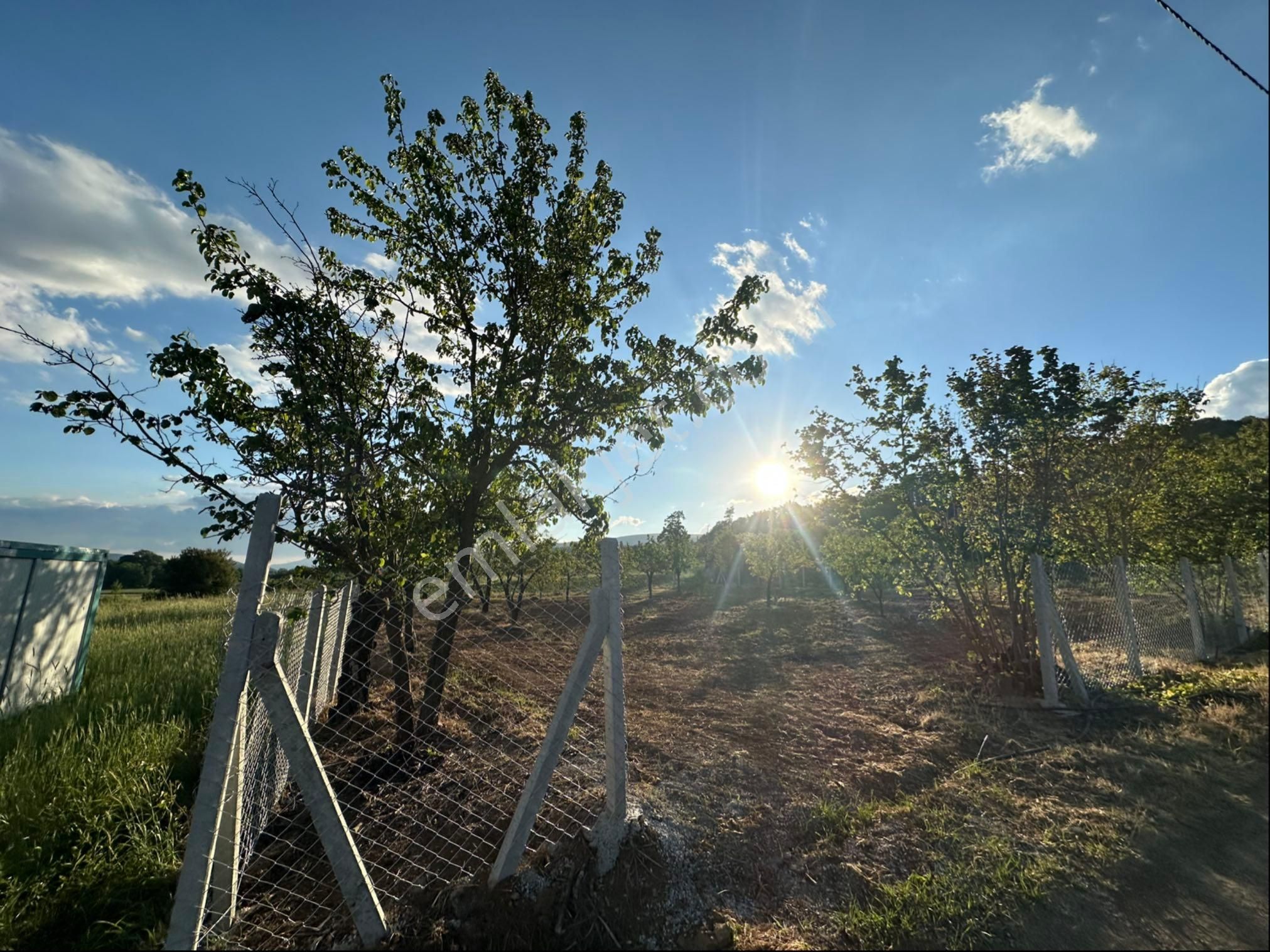 Sakarya Hüseyinli Full Manzara 970m2 İmara Sıfır - Görsel 4