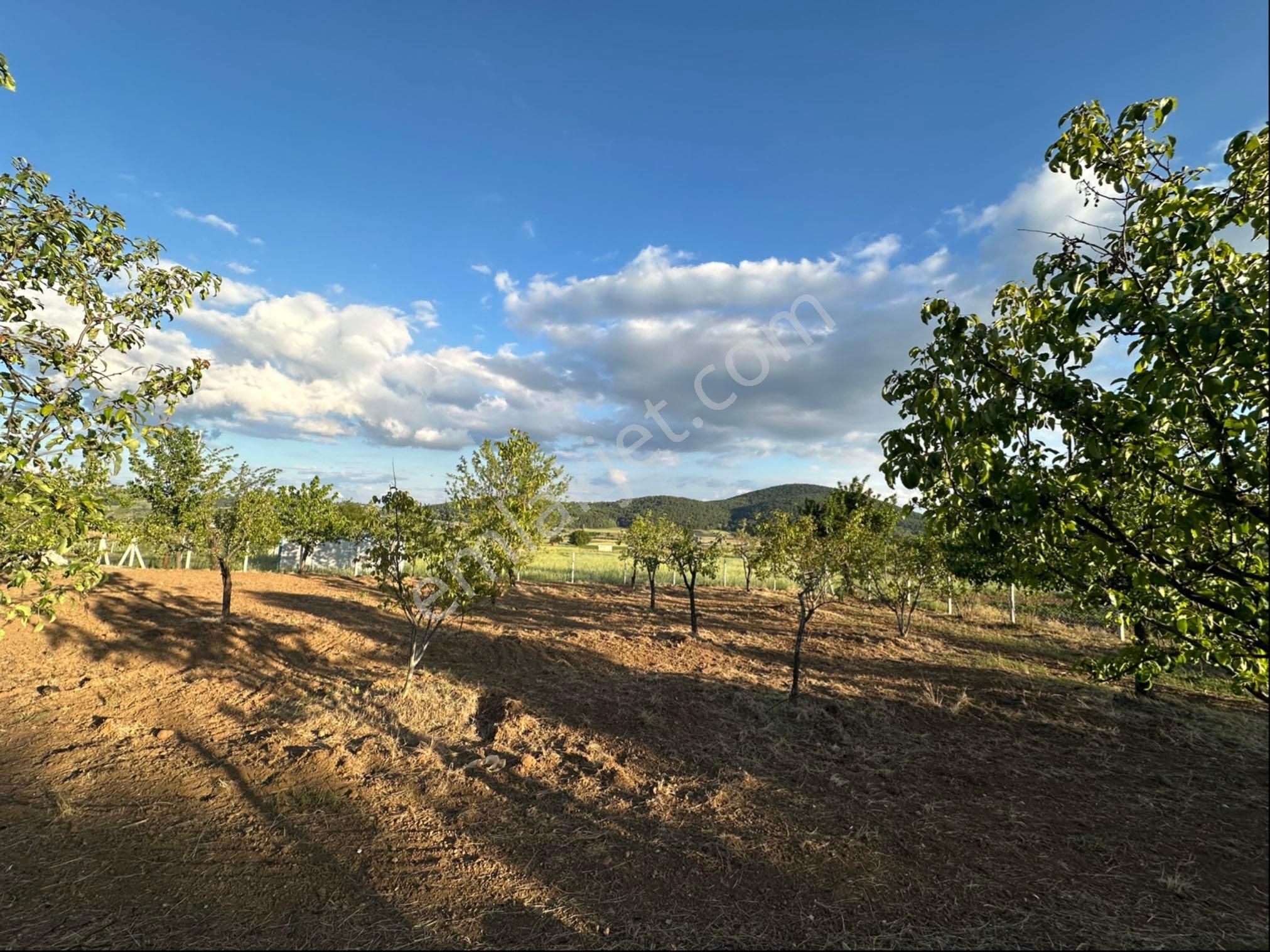 Sakarya Hüseyinli Full Manzara 970m2 İmara Sıfır - Görsel 6