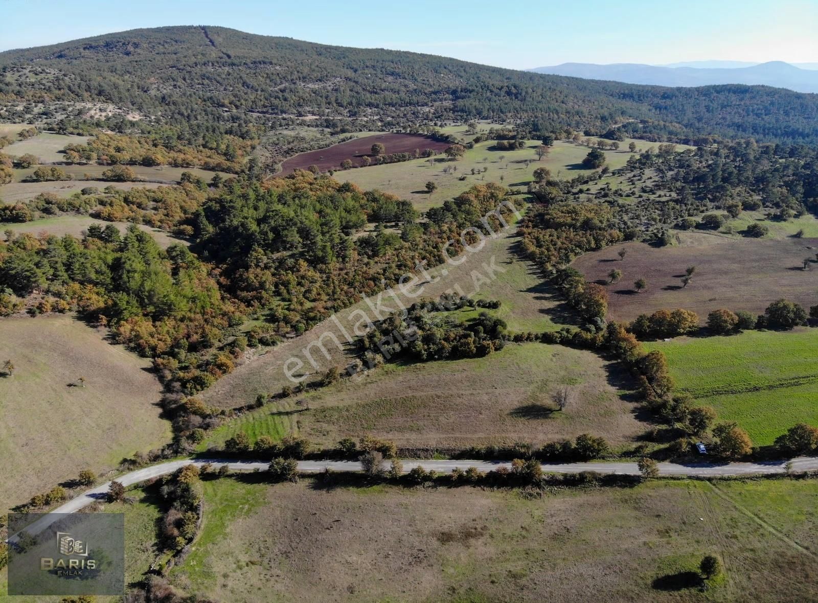 Çanakkale Bayramiç Aşağışapçı Köyünde Asfalt Cephe Satılık Tarla - Görsel 10