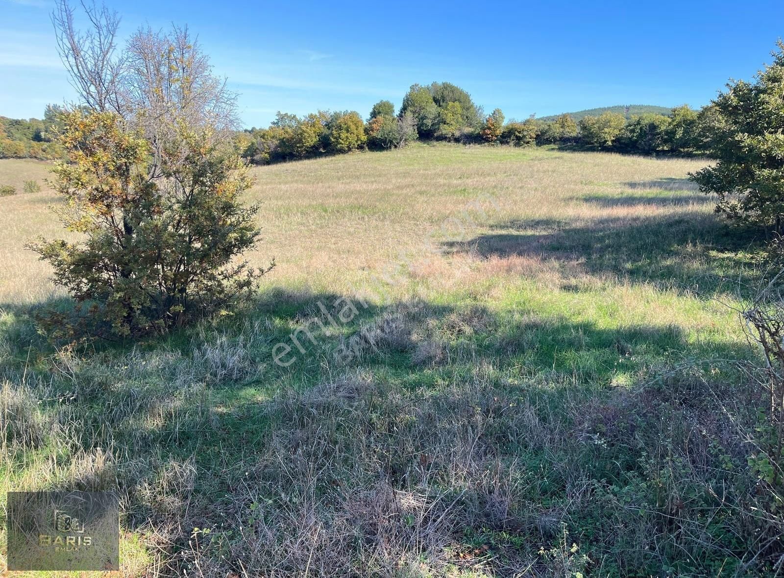 Çanakkale Bayramiç Aşağışapçı Köyünde Asfalt Cephe Satılık Tarla - Görsel 11