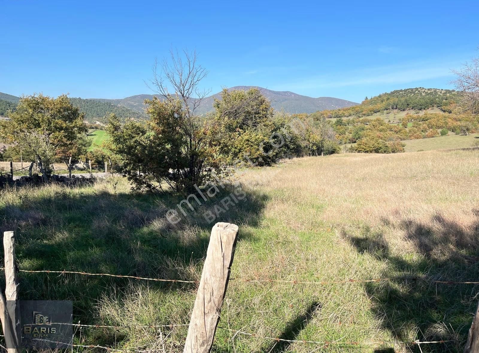 Çanakkale Bayramiç Aşağışapçı Köyünde Asfalt Cephe Satılık Tarla - Görsel 6
