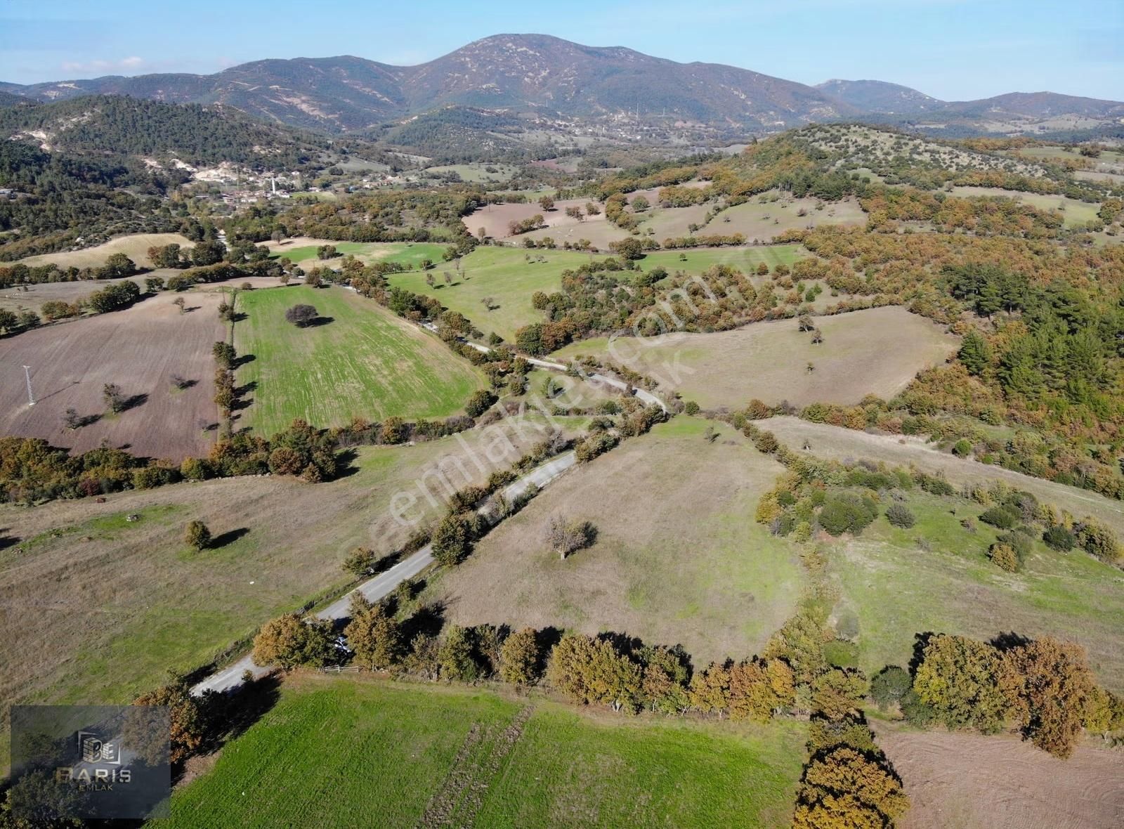 Çanakkale Bayramiç Aşağışapçı Köyünde Asfalt Cephe Satılık Tarla - Görsel 5