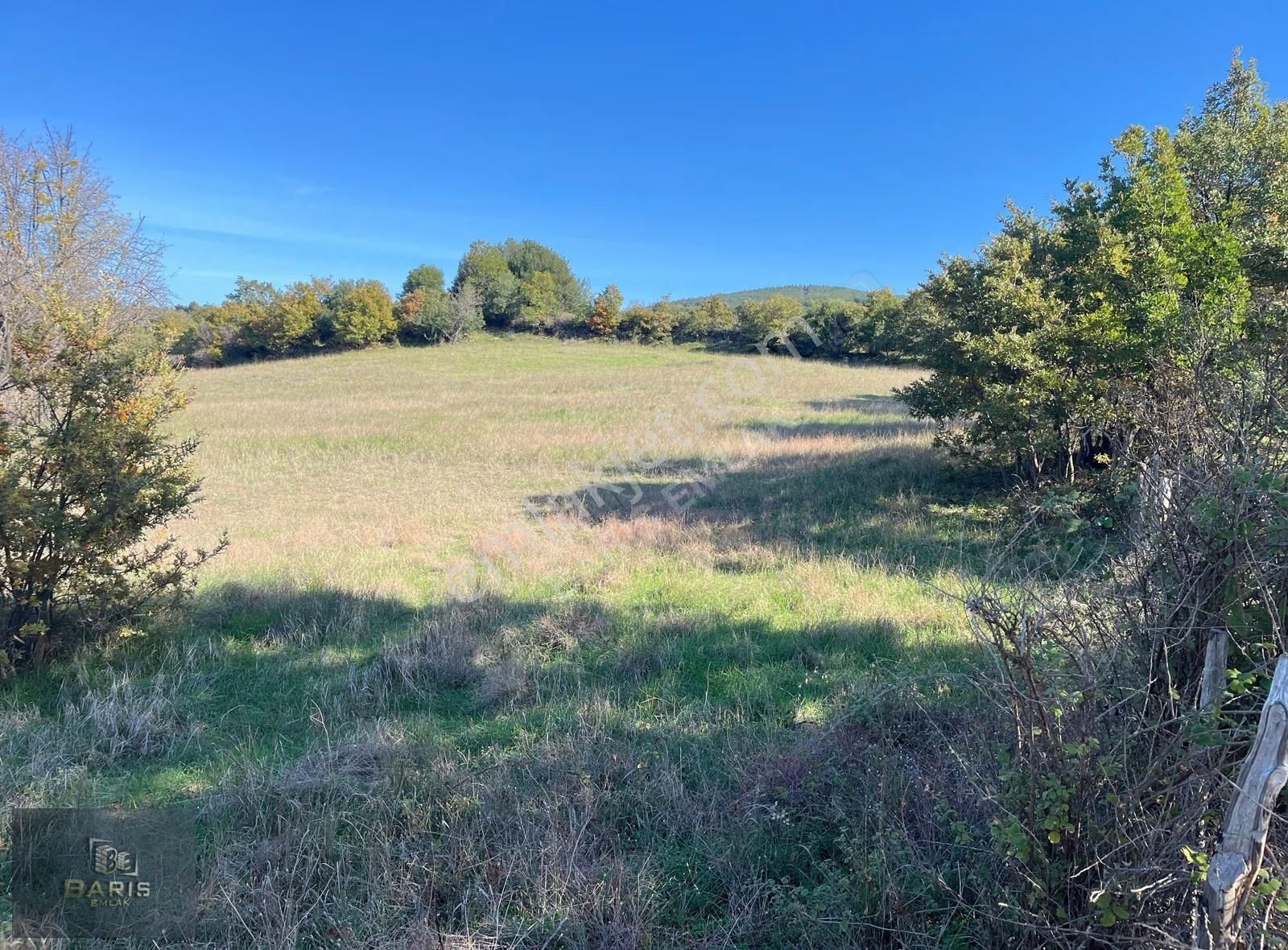 Çanakkale Bayramiç Aşağışapçı Köyünde Asfalt Cephe Satılık Tarla - Görsel 7