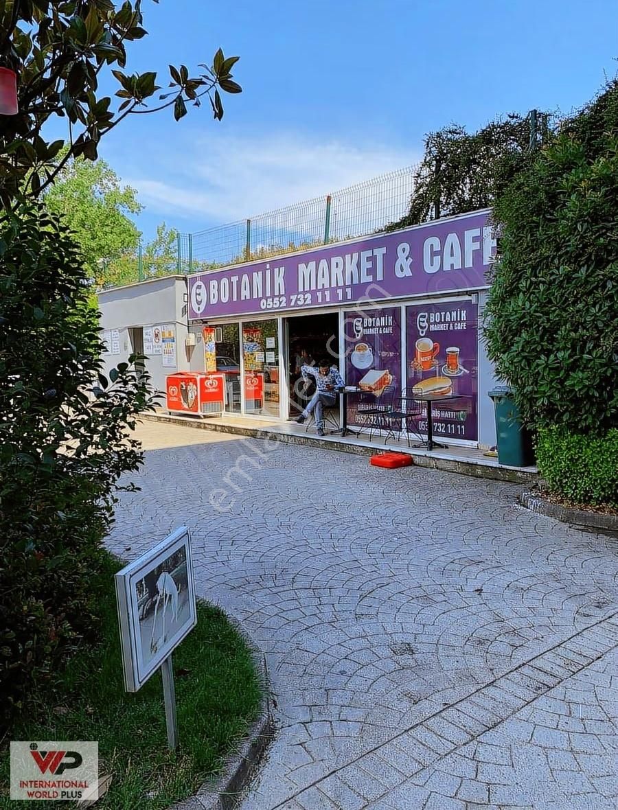 Dumankaya Botanik Sitesinde Havuz Cephe 1+0 Satılık - Görsel 13