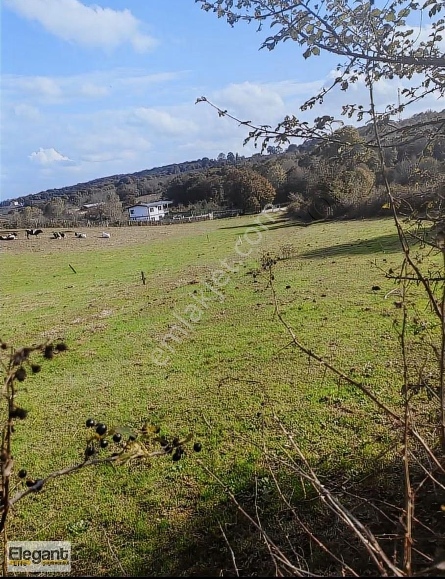 Sakarya Kaynarca'nın Gelişen Bölgesinde Kaçırılmayacak Fırsat!!!