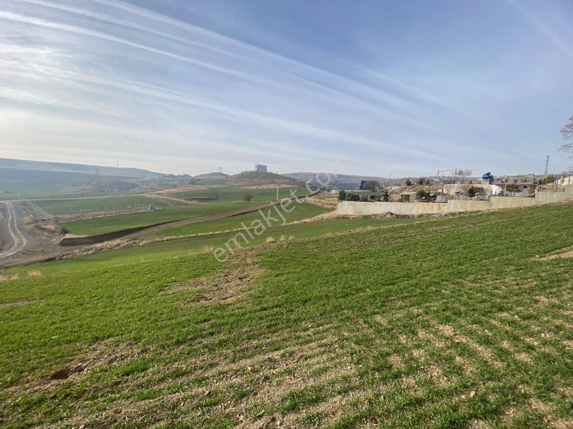 Gökçe Emlak'tan Satılık Tek Tapu Eşsiz Bir Manzarada Villa Arsası - Görsel 10