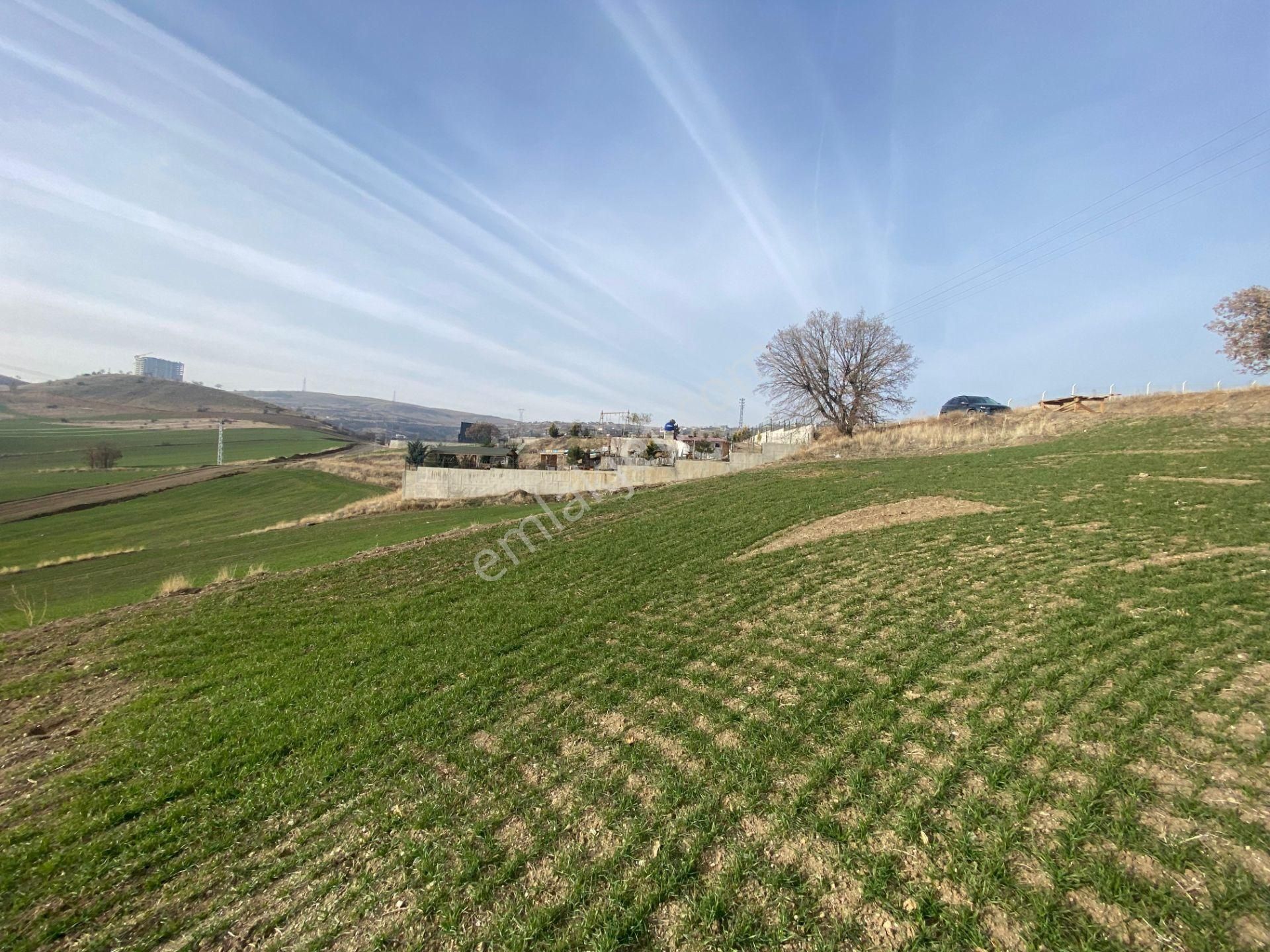 Gökçe Emlak'tan Satılık Tek Tapu Eşsiz Bir Manzarada Villa Arsası - Görsel 12