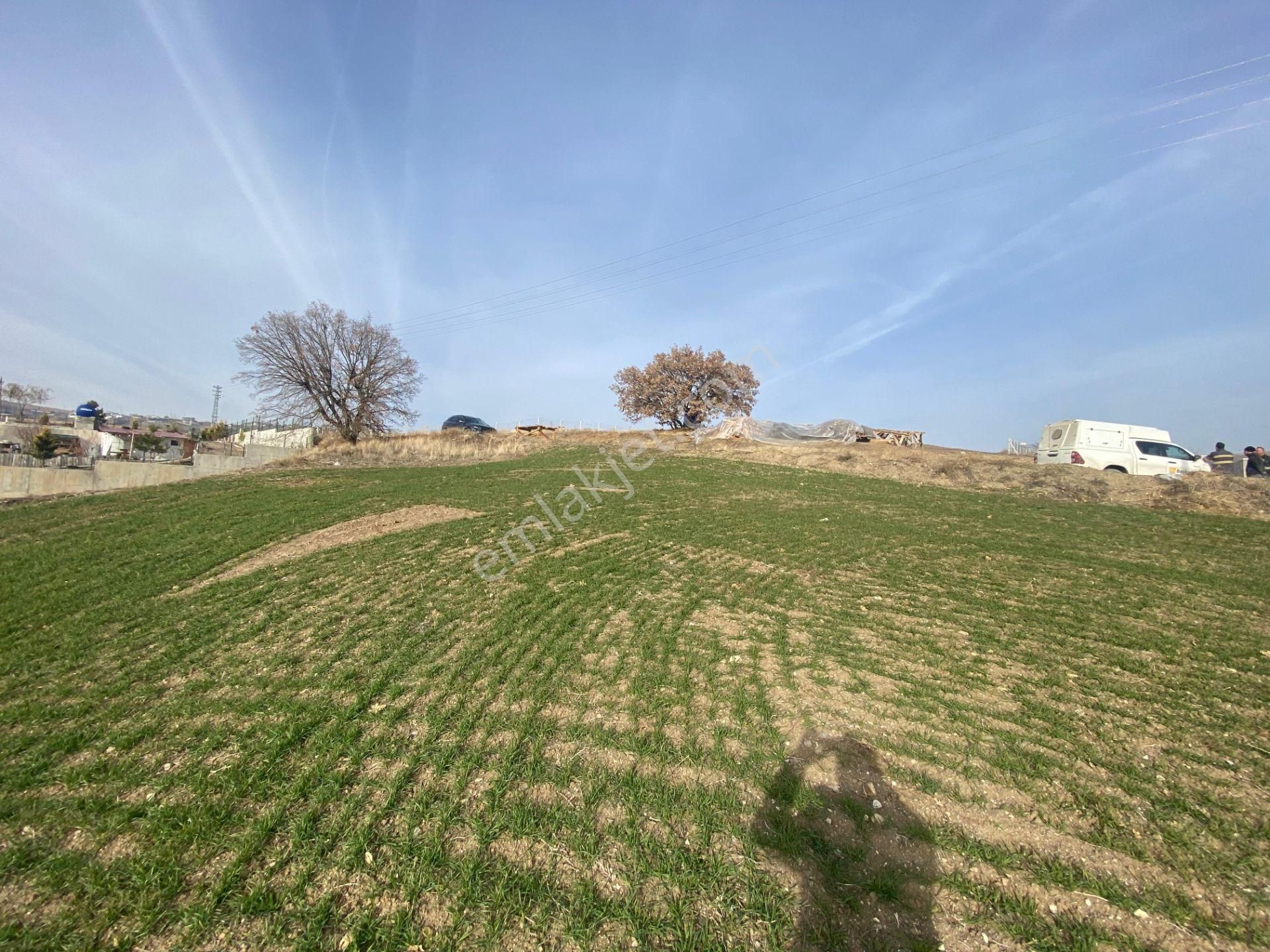 Gökçe Emlak'tan Satılık Tek Tapu Eşsiz Bir Manzarada Villa Arsası - Görsel 14