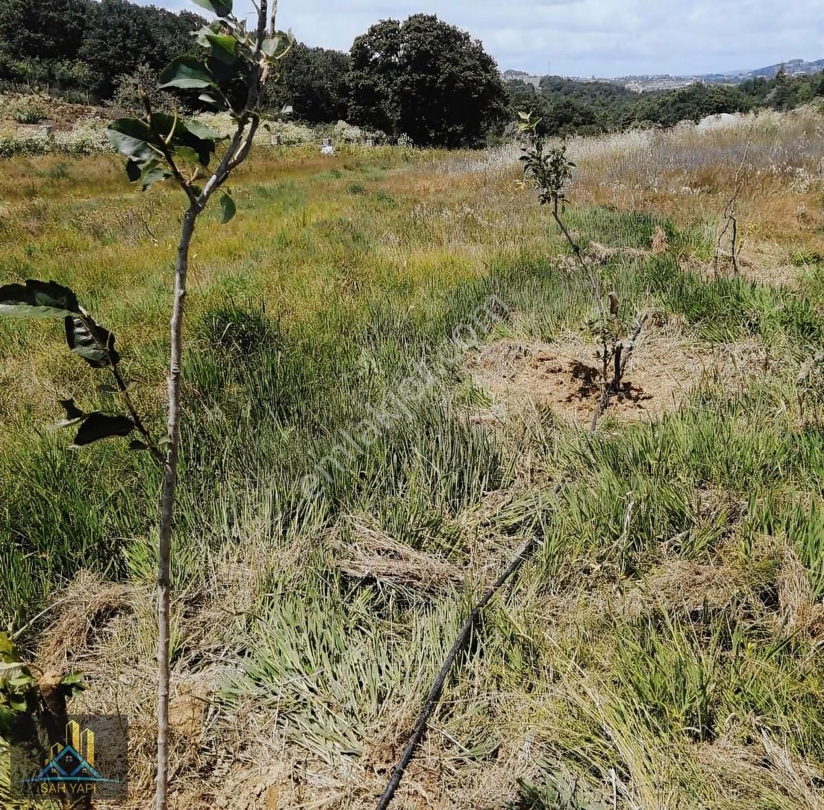 Gelecek İçin Yatırım Yapmak İsteyenler İçin Çok Güzel Bir Fırsat - Görsel 10
