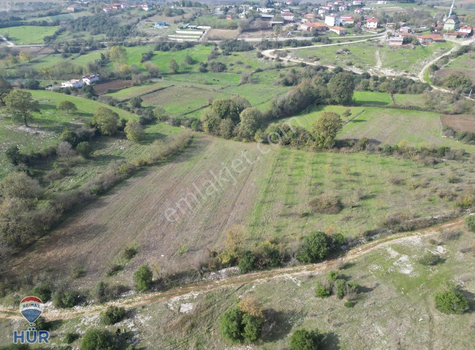 Remax Ayfer Sever'den Satılık Kaynarca Taşoluk 10 601 M2