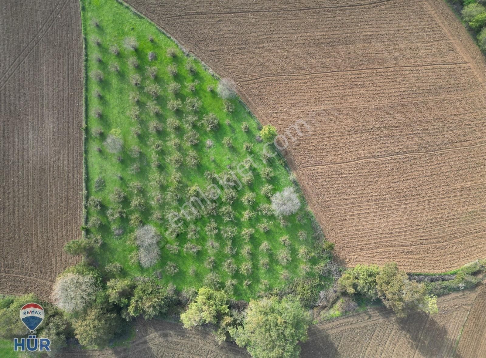 Remax Ayfer Sever'den Satılık Kaynarca Taşoluk 3865 M2