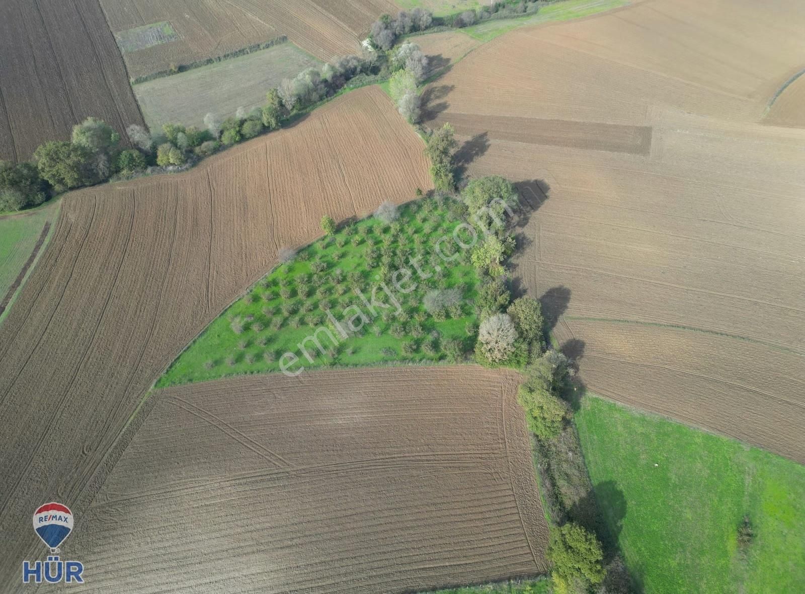 Remax Ayfer Sever'den Satılık Kaynarca Taşoluk 3865 M2 - Görsel 7