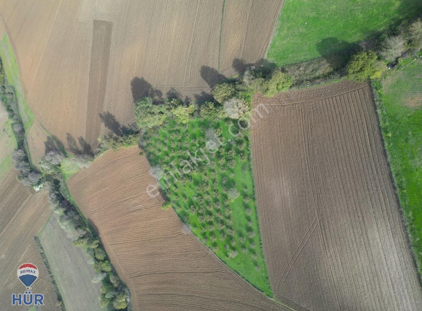 Remax Ayfer Sever'den Satılık Kaynarca Taşoluk 3865 M2 - Görsel 2