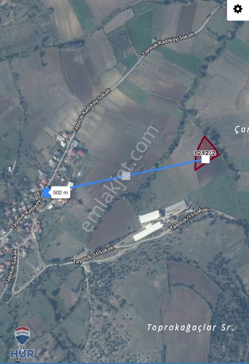 Remax Ayfer Sever'den Satılık Kaynarca Taşoluk 3865 M2 - Görsel 3