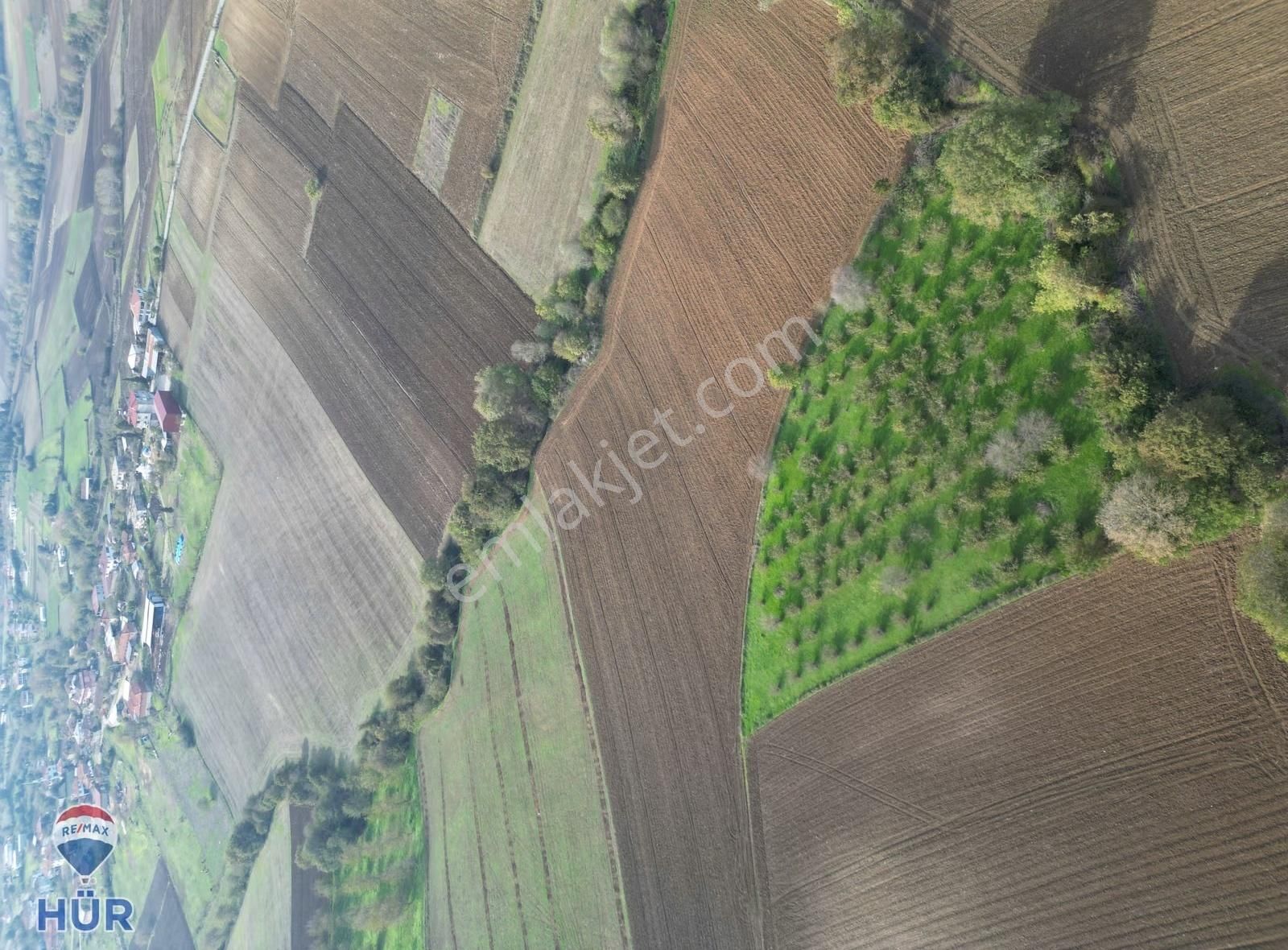 Remax Ayfer Sever'den Satılık Kaynarca Taşoluk 3865 M2 - Görsel 8