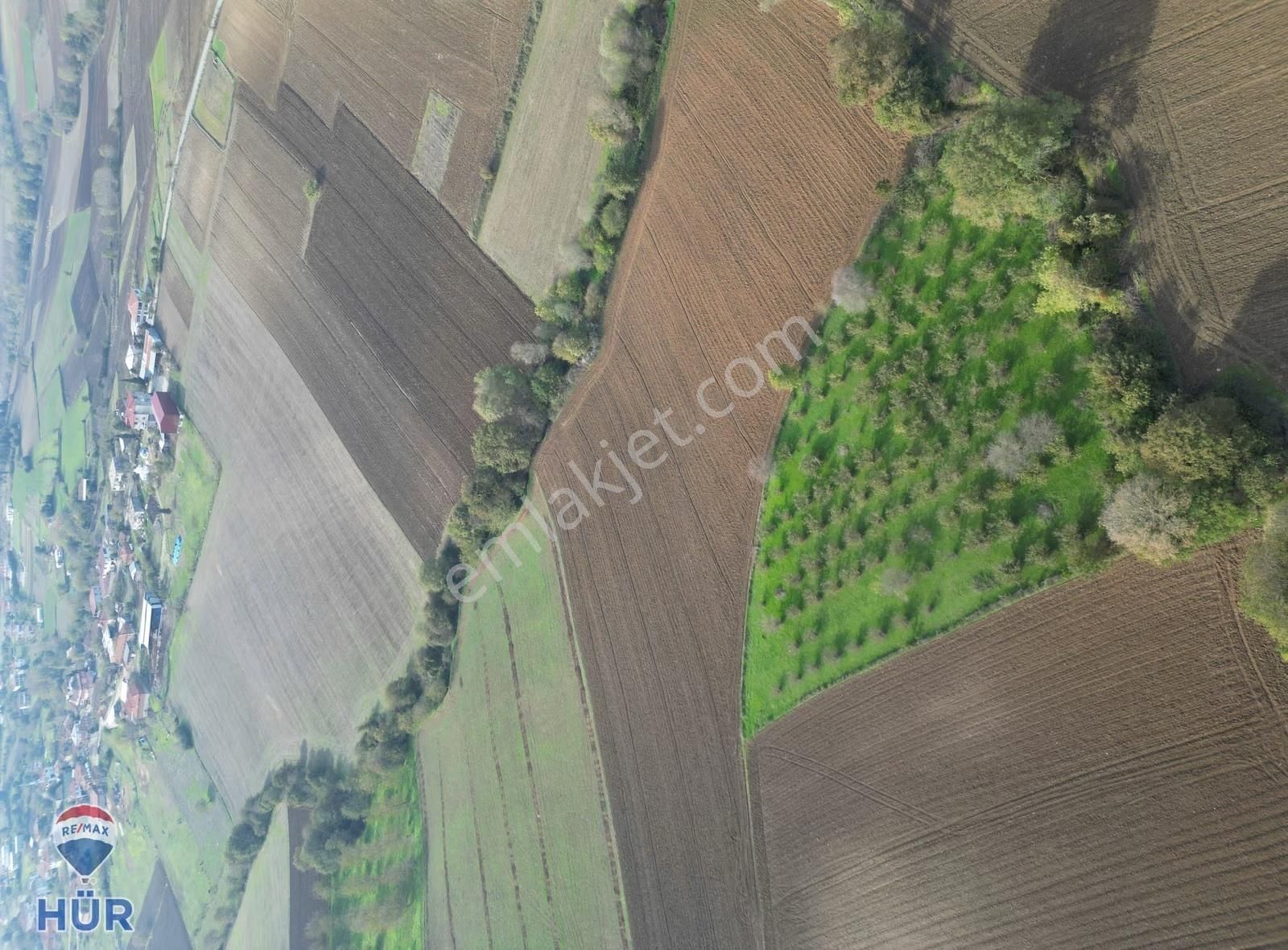 Remax Ayfer Sever'den Satılık Kaynarca Taşoluk 3865 M2 - Görsel 6