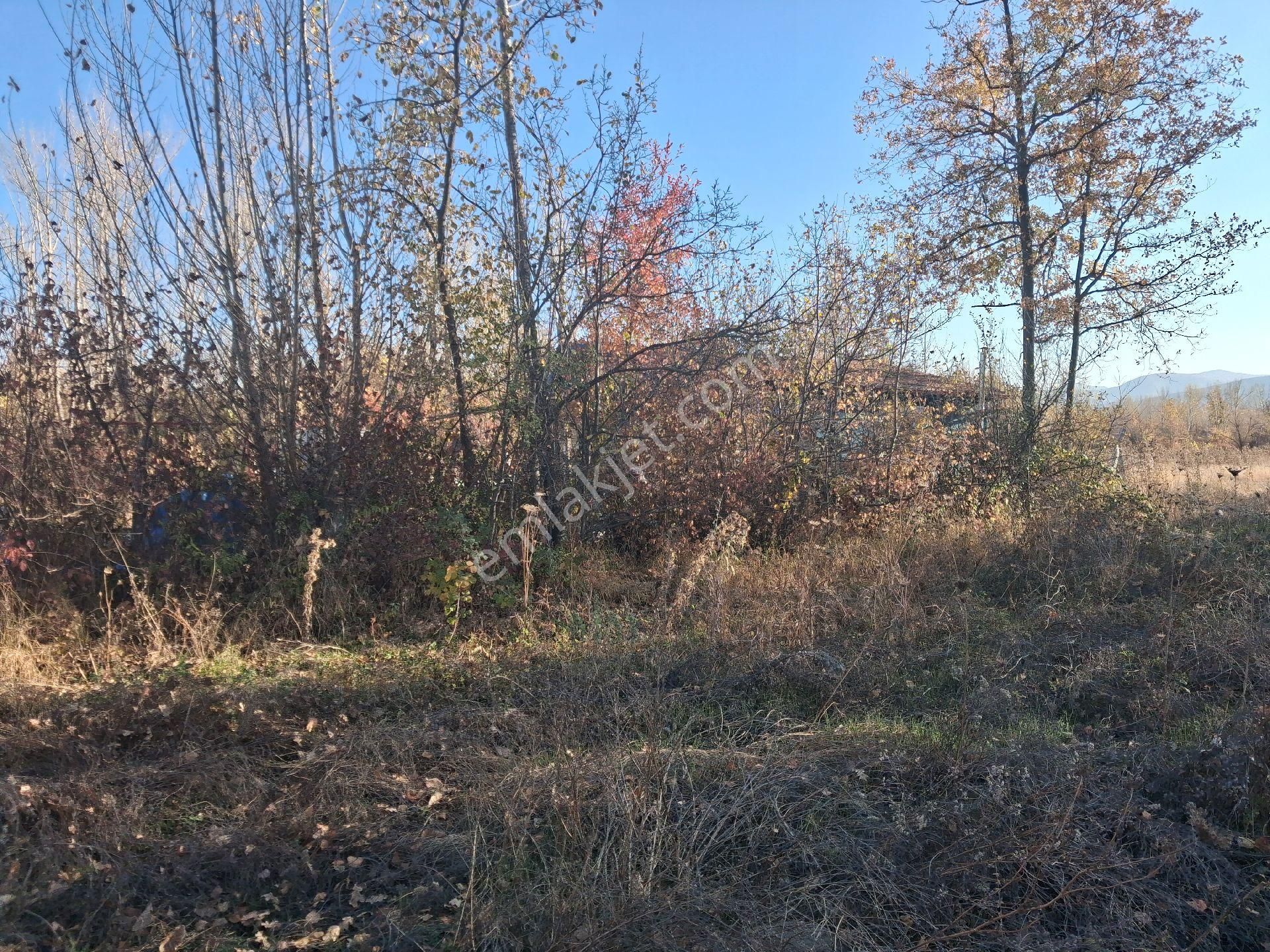 Daglı Emlaktan Dogrugöz - Görsel 5