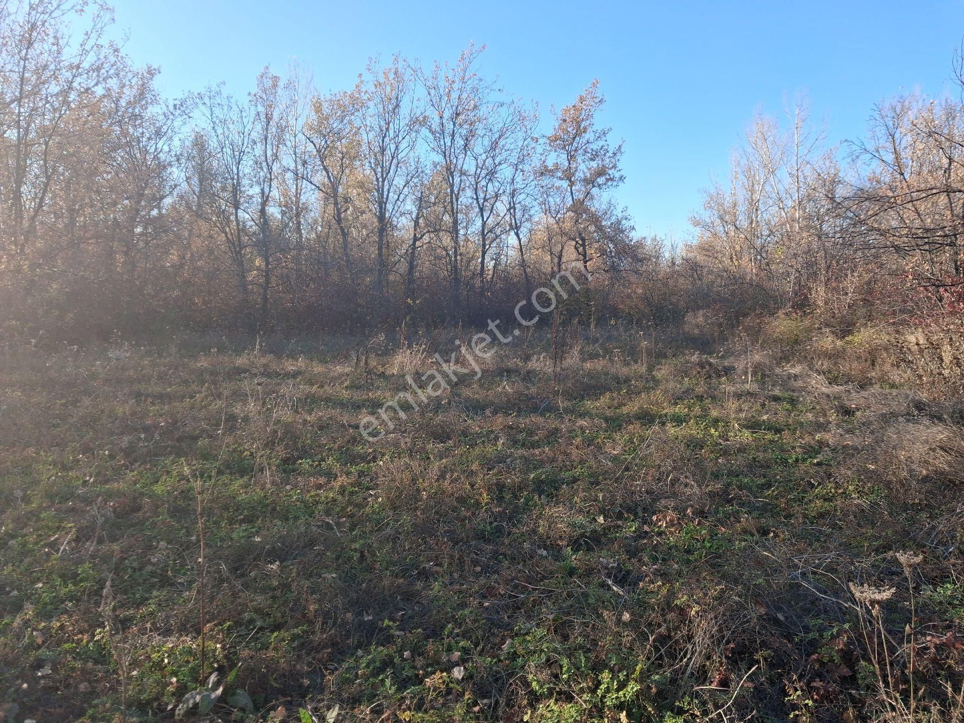 Daglı Emlaktan Dogrugöz