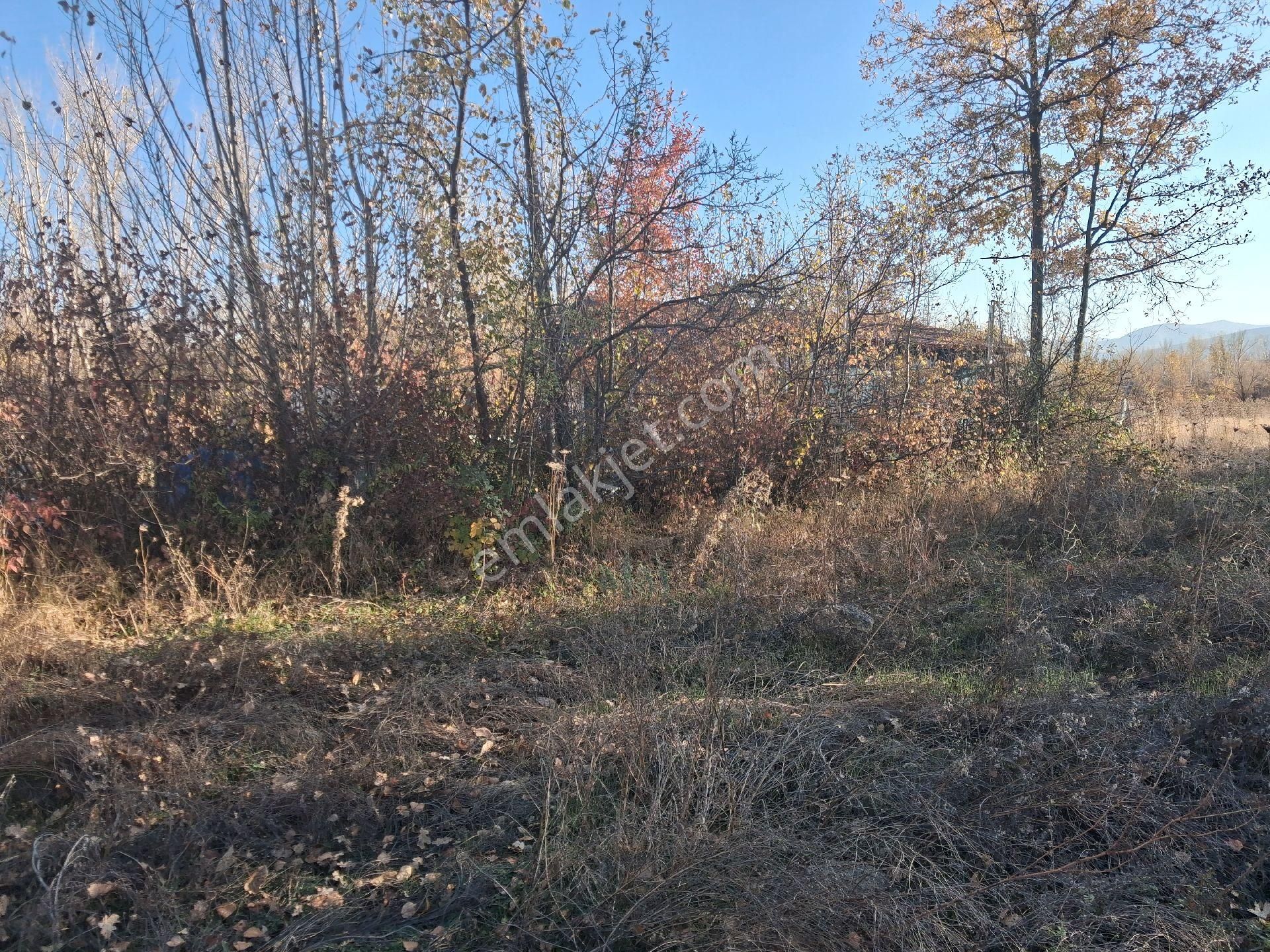 Daglı Emlaktan Dogrugöz - Görsel 9