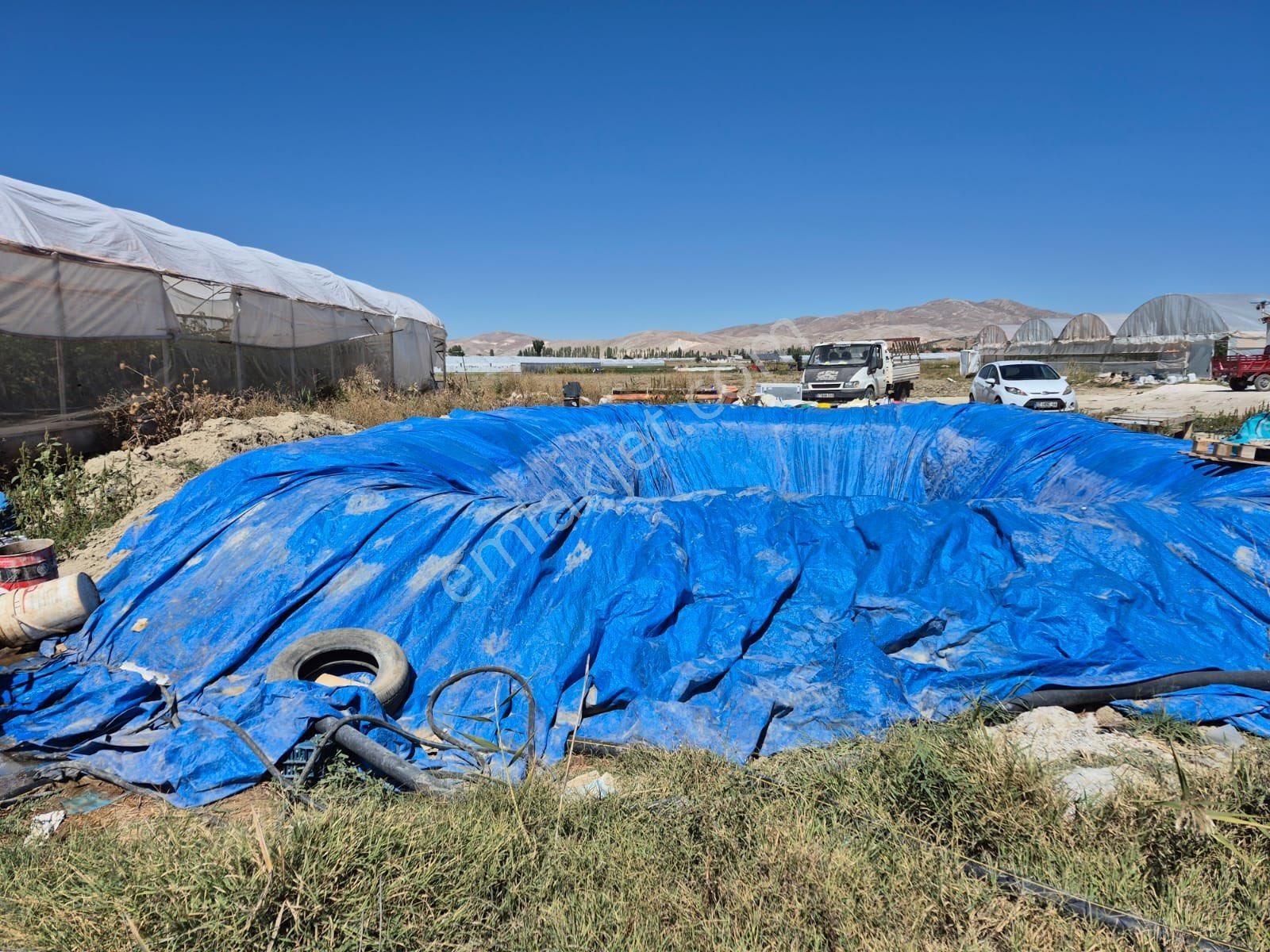 5.5 Dönüm Tarla 4 Dönümü Kapalı Sera - Görsel 7